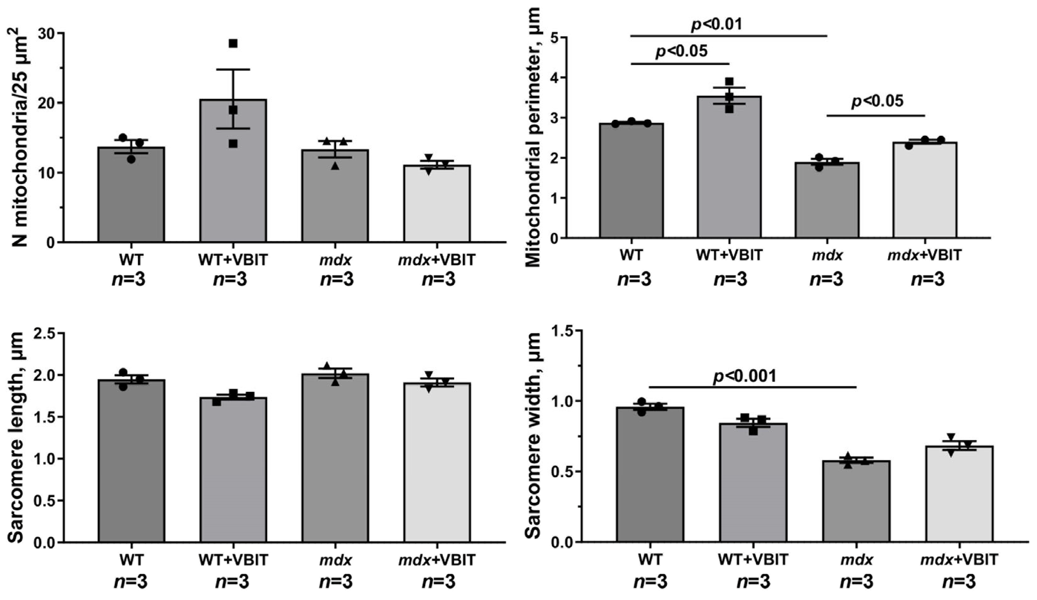 Ijms 26 08845 g007 Ijms 26 08845 g007