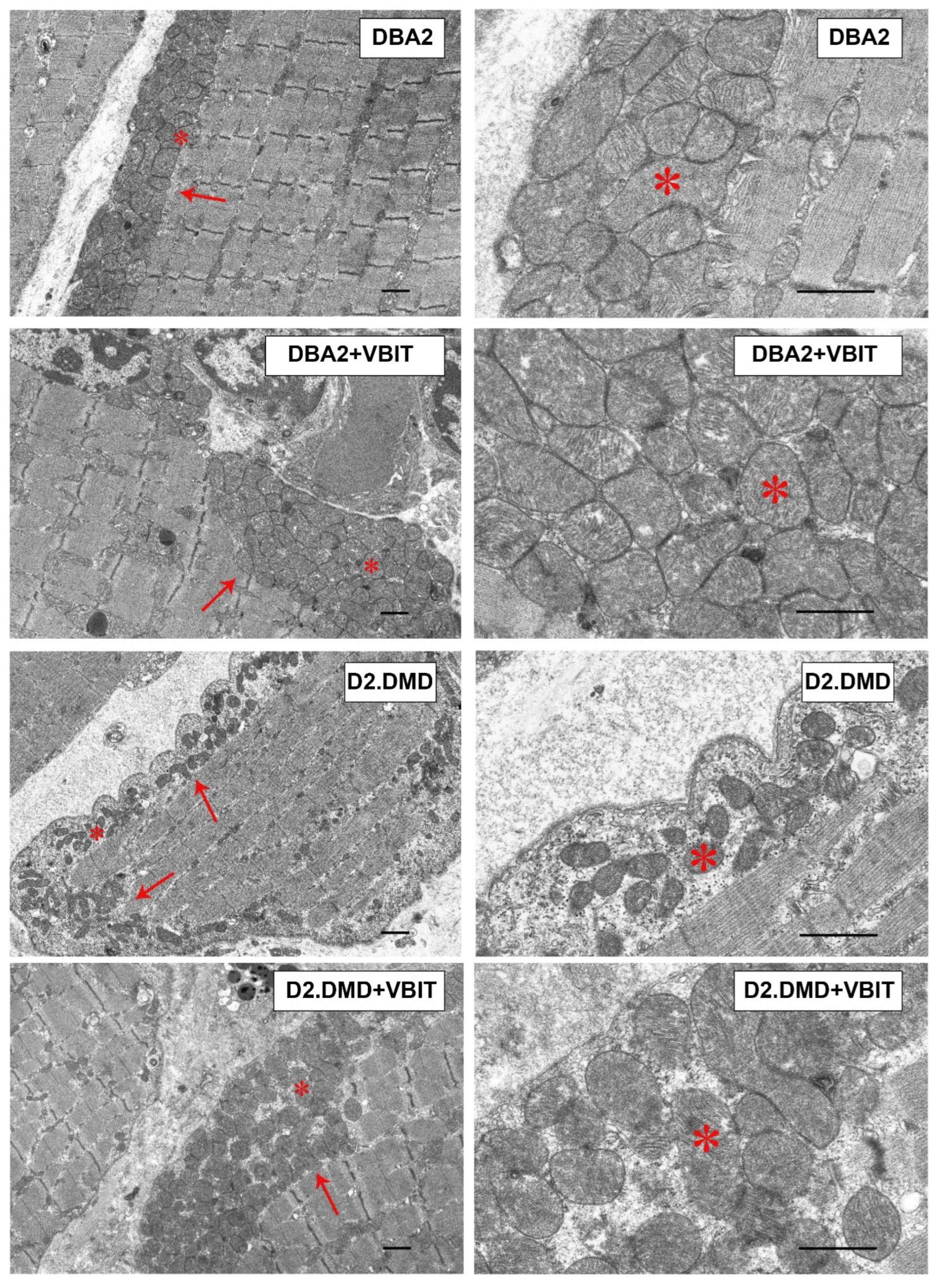 Ijms 26 08845 g008 Ijms 26 08845 g008