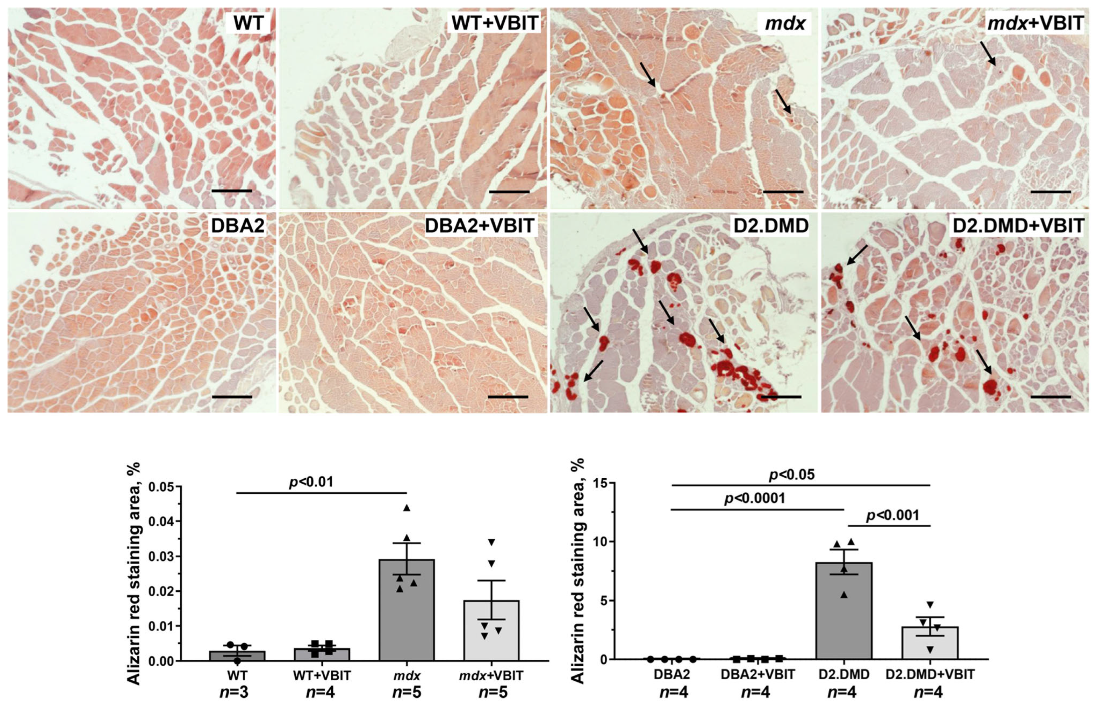 Ijms 26 08845 g010 Ijms 26 08845 g010