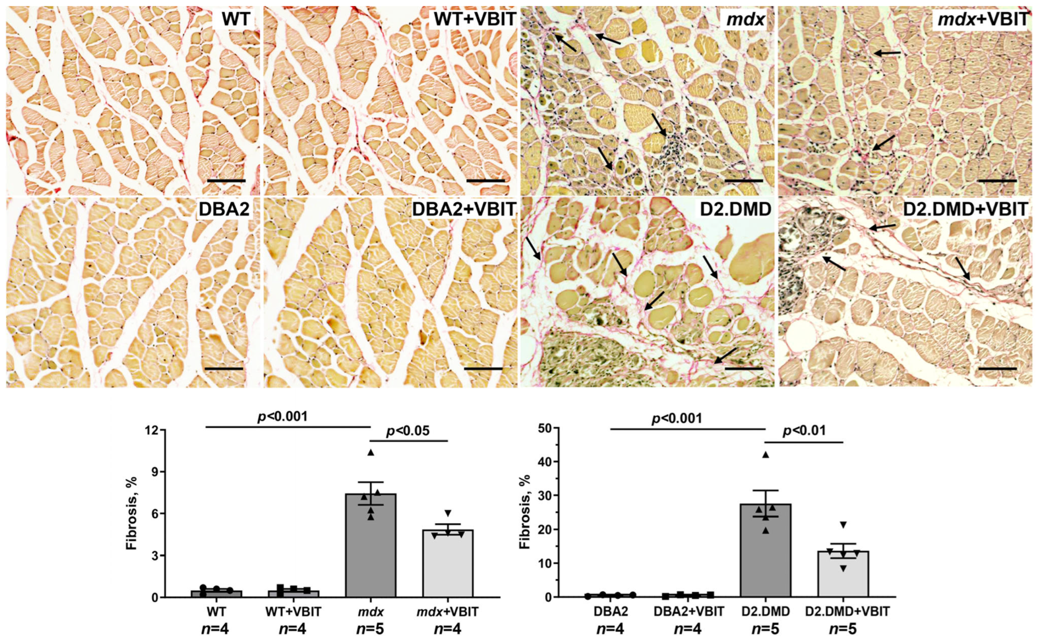 Ijms 26 08845 g011 Ijms 26 08845 g011