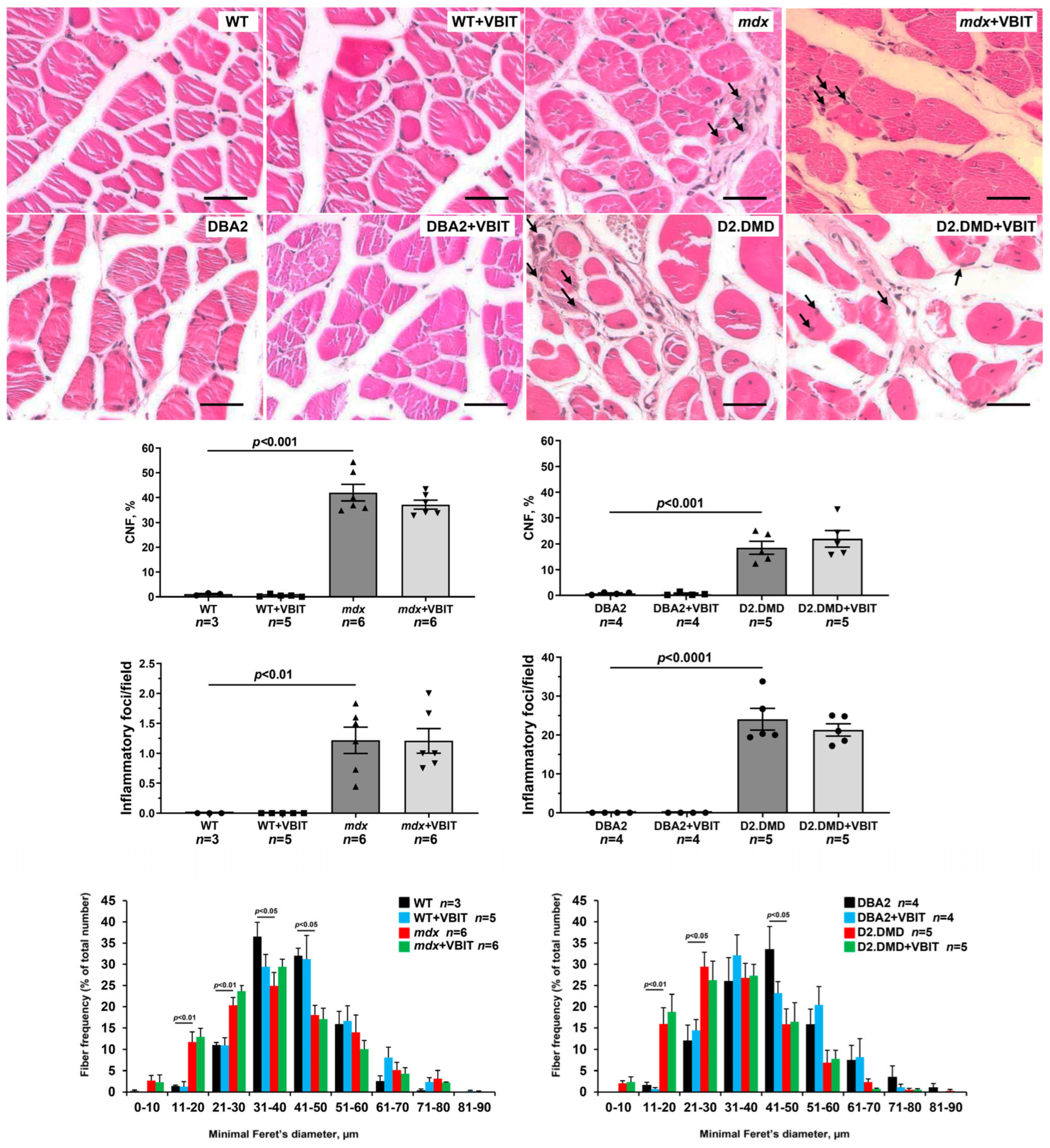 Ijms 26 08845 g012 Ijms 26 08845 g012