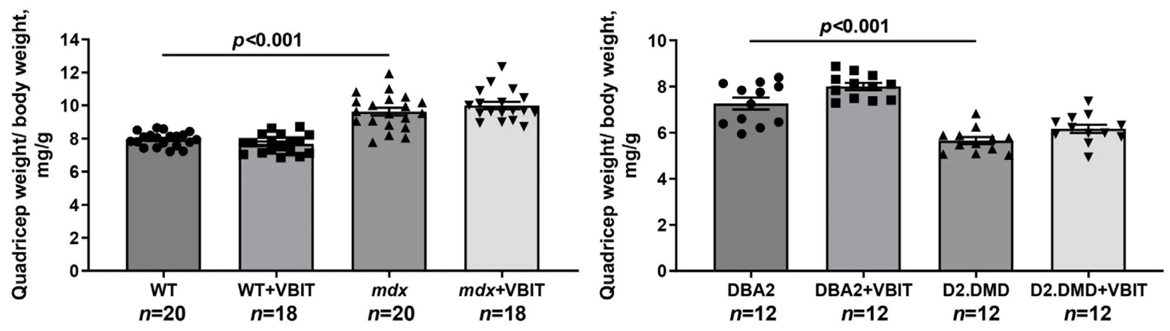 Ijms 26 08845 g013 Ijms 26 08845 g013
