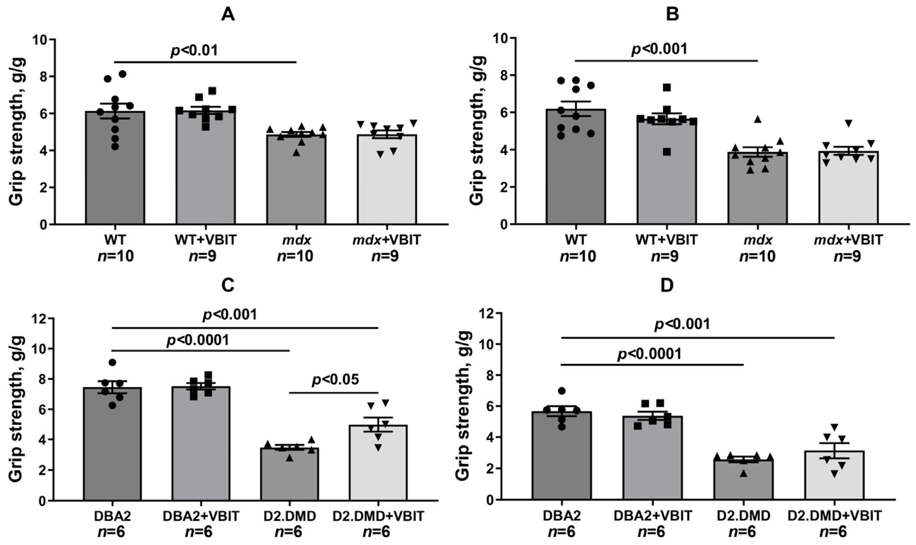 Ijms 26 08845 g015 Ijms 26 08845 g015
