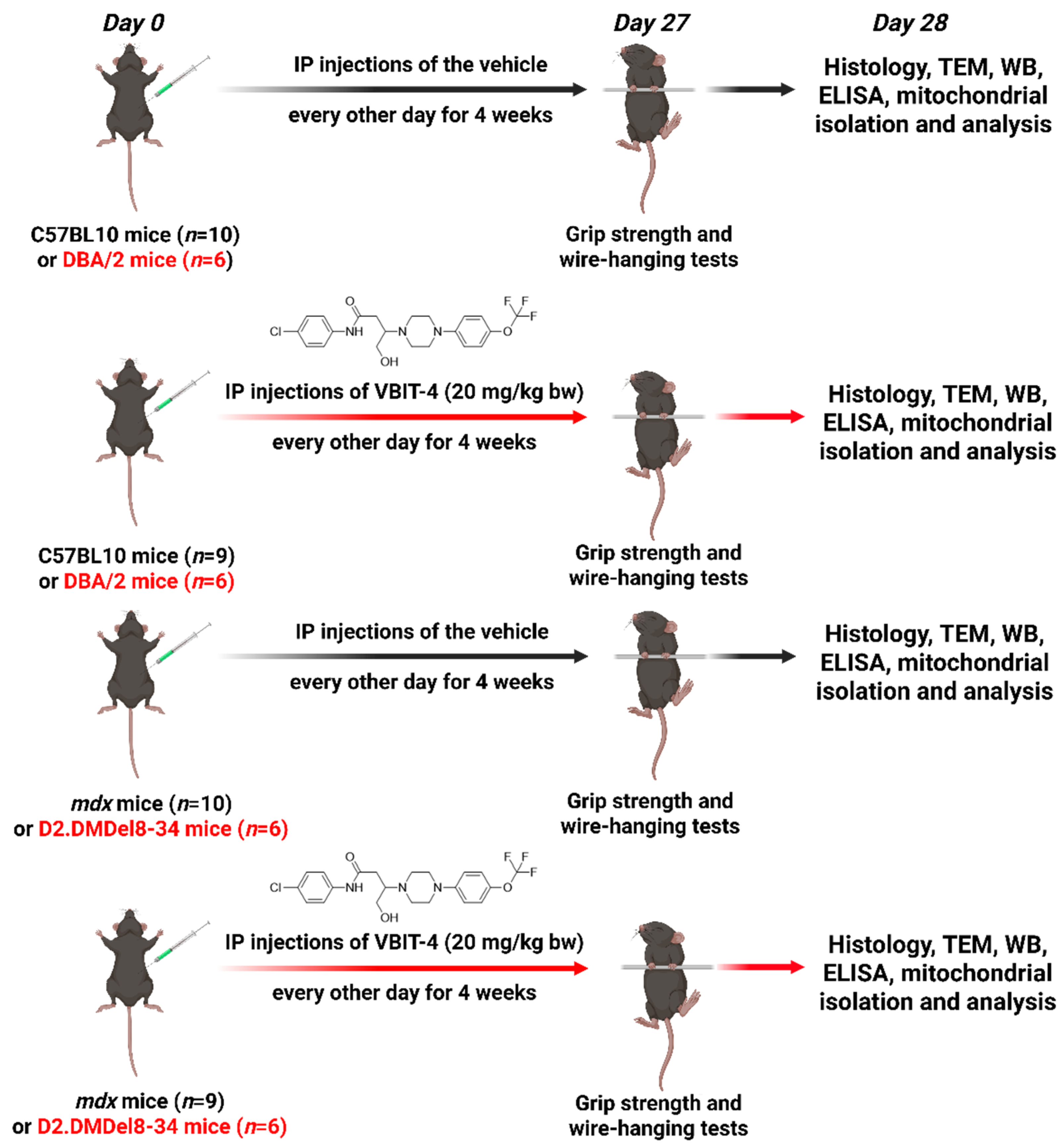 Ijms 26 08845 g017 Ijms 26 08845 g017