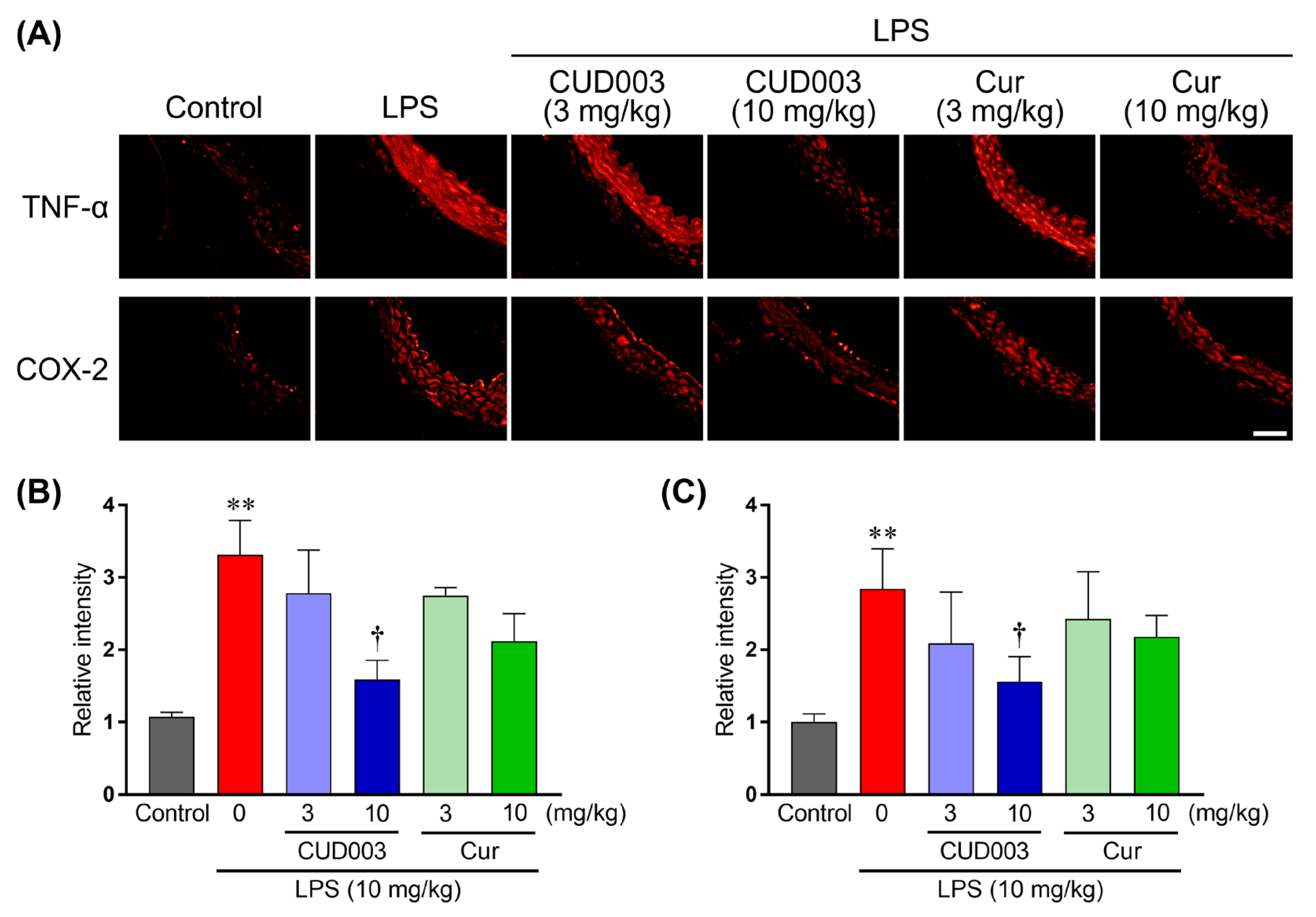 Ijms 26 08850 g005 Ijms 26 08850 g005