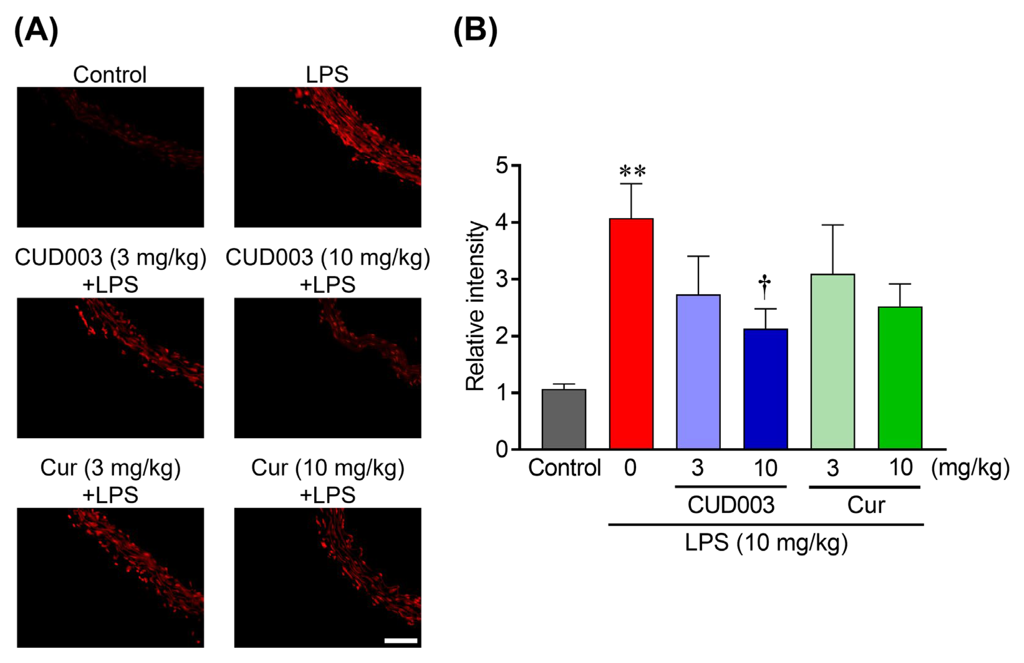Ijms 26 08850 g006 Ijms 26 08850 g006