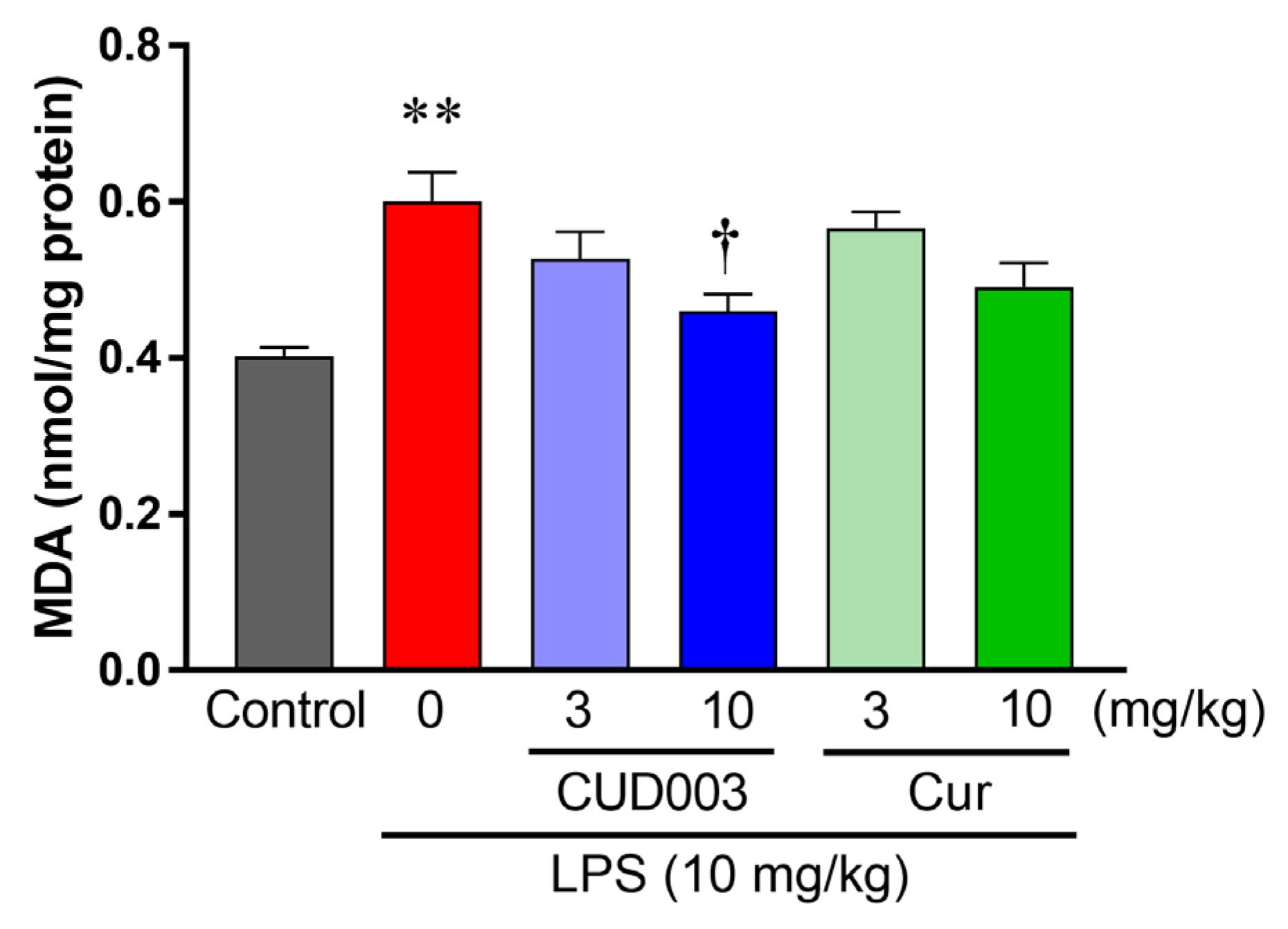 Ijms 26 08850 g007 Ijms 26 08850 g007