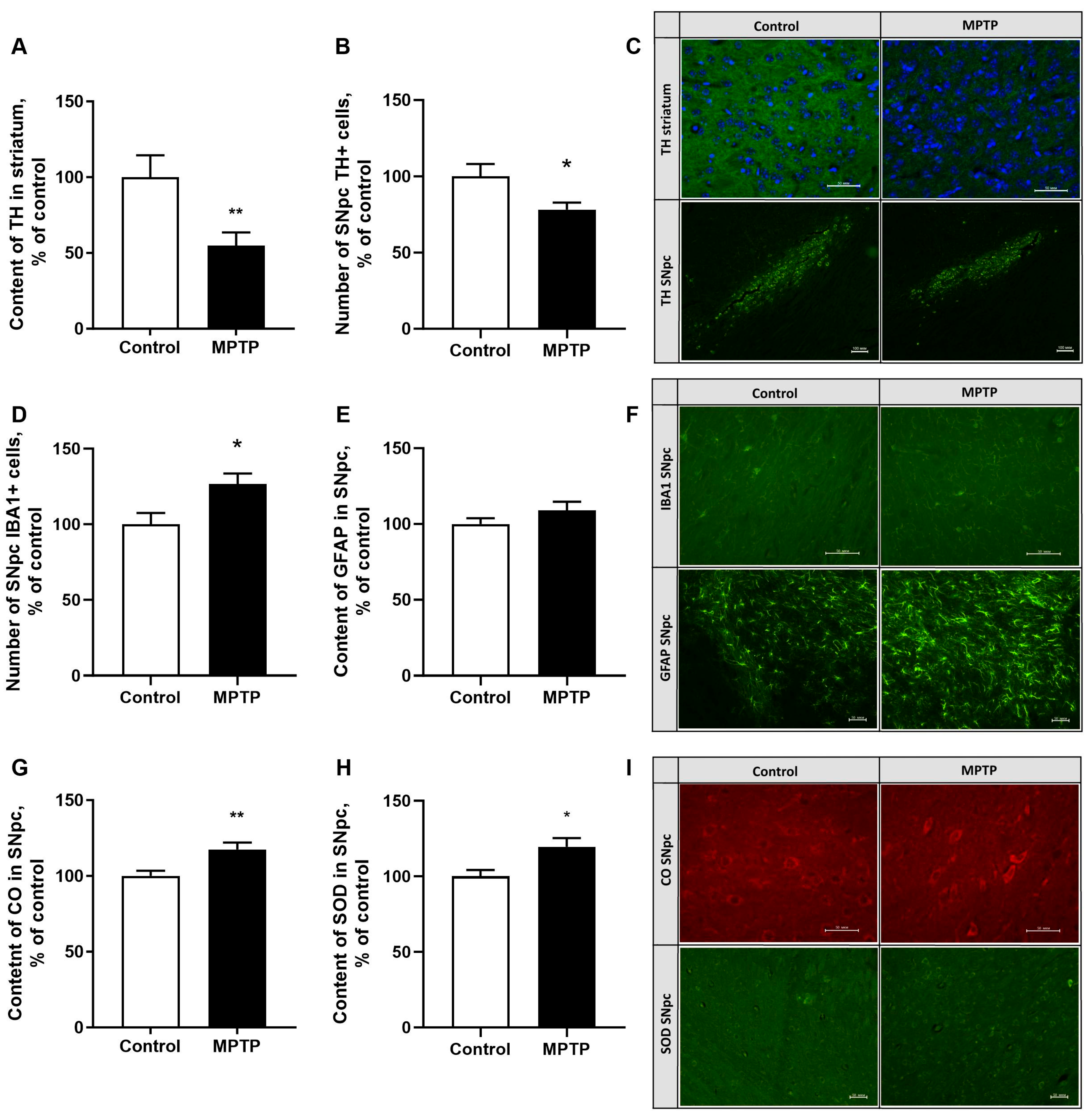 Ijms 26 08856 g005 Ijms 26 08856 g005