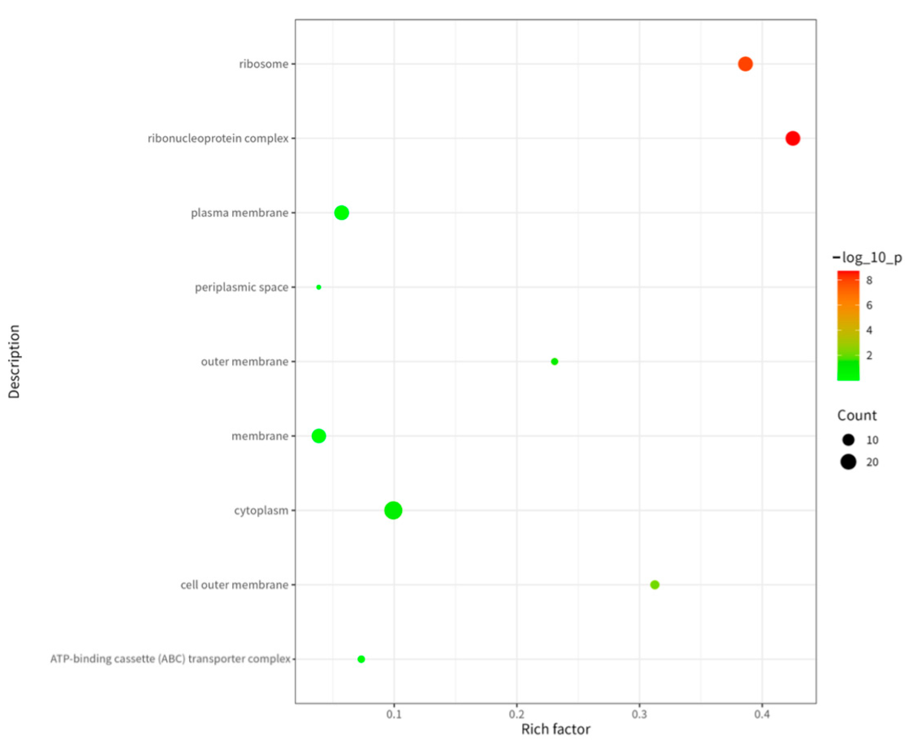 Ijms 26 08874 g006 Ijms 26 08874 g006