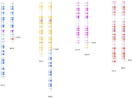 Complex Rearrangement Uncovering Rare Structural Chromosomal Rearrangements: Insights from ...