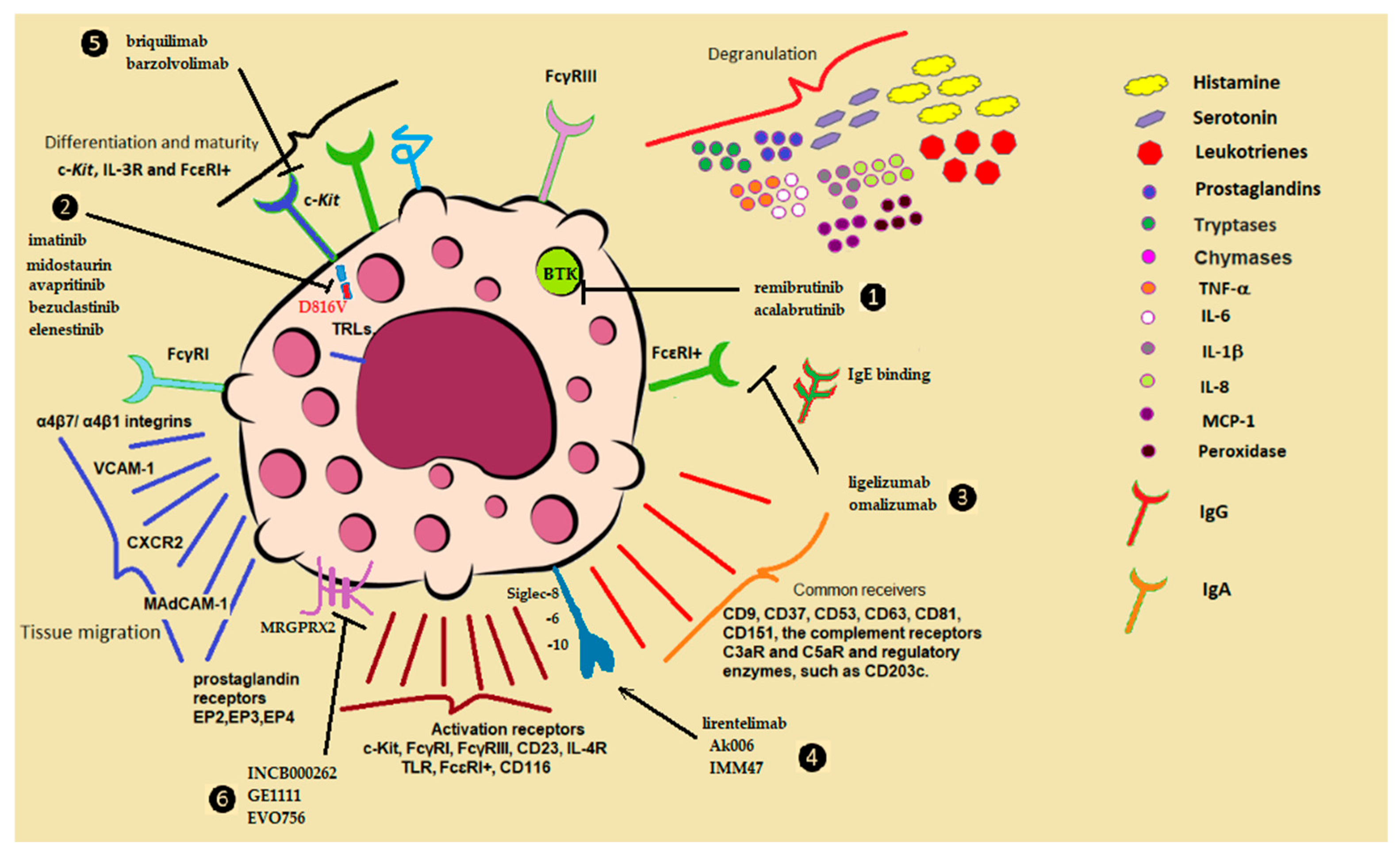 Ijms 26 08895 g002 Ijms 26 08895 g002