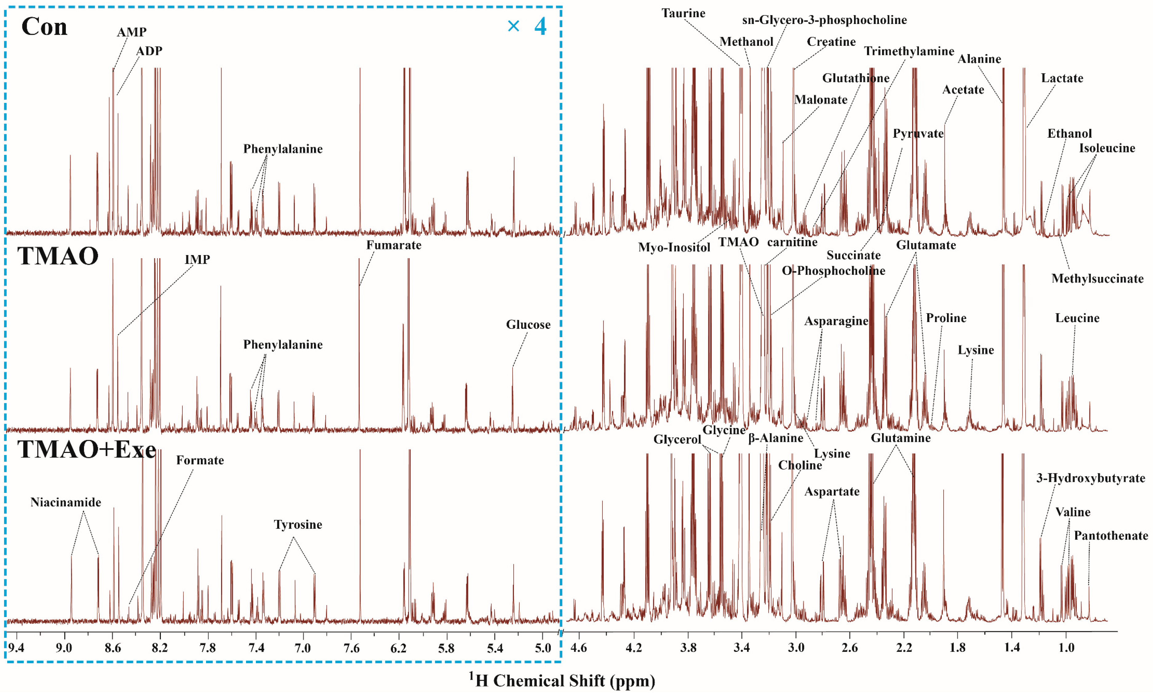 Ijms 26 08902 g003 Ijms 26 08902 g003