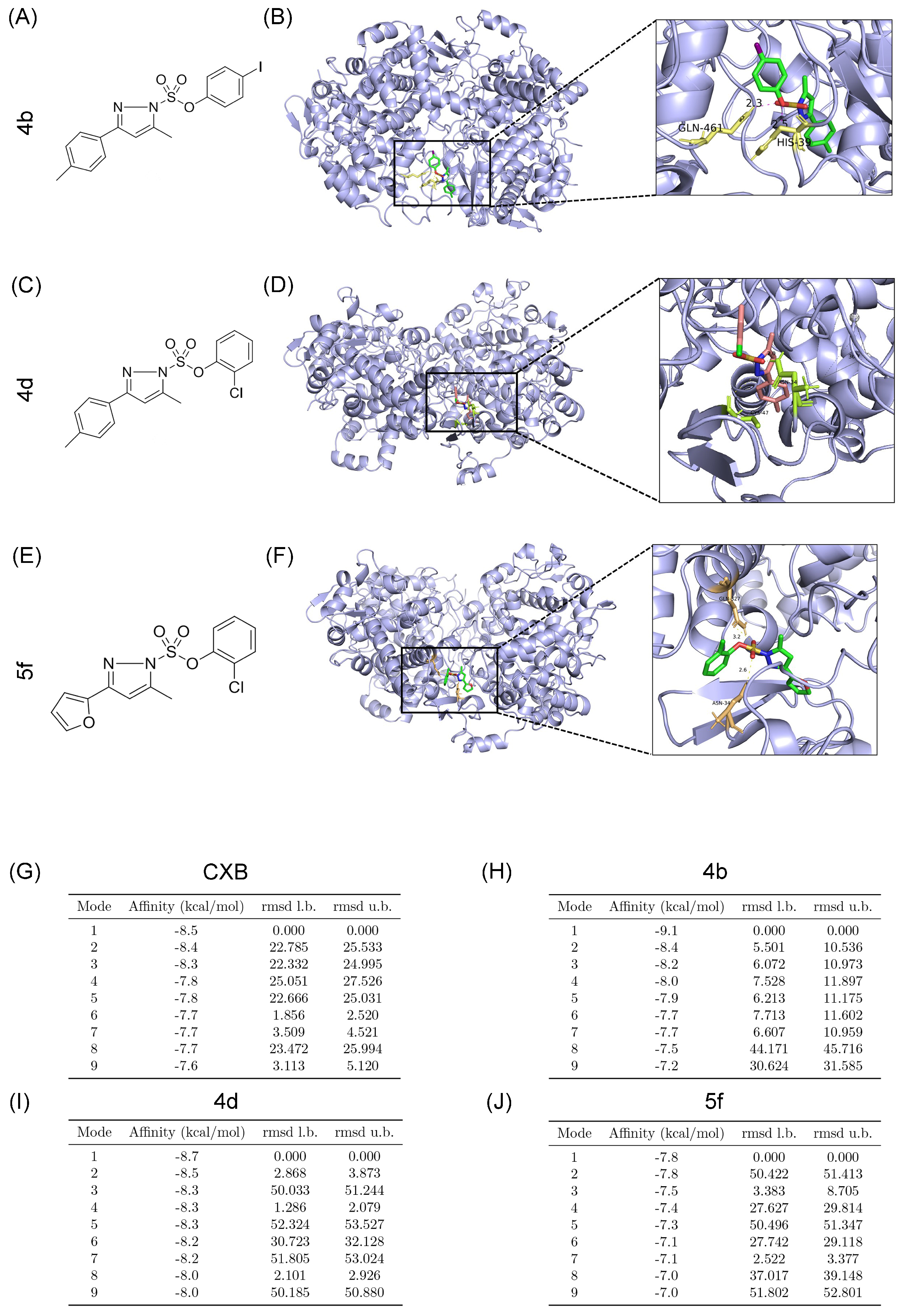 のん スズキ セピア アドレスV100 2スト