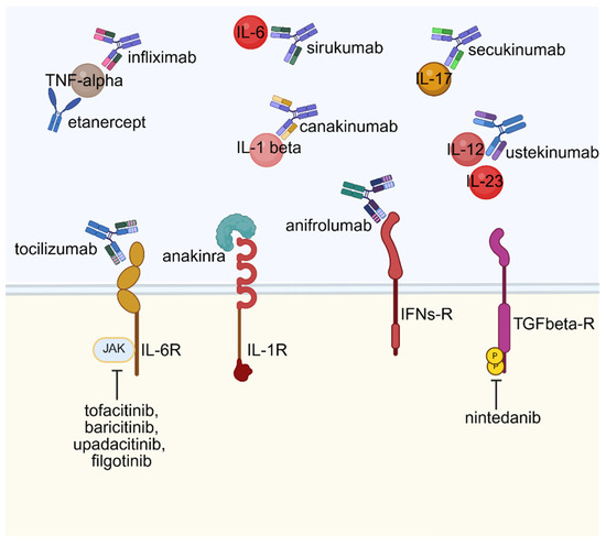 bpc 157 for autoimmune Peptide Therapy in Boise – Specialized Treatment for First Responders