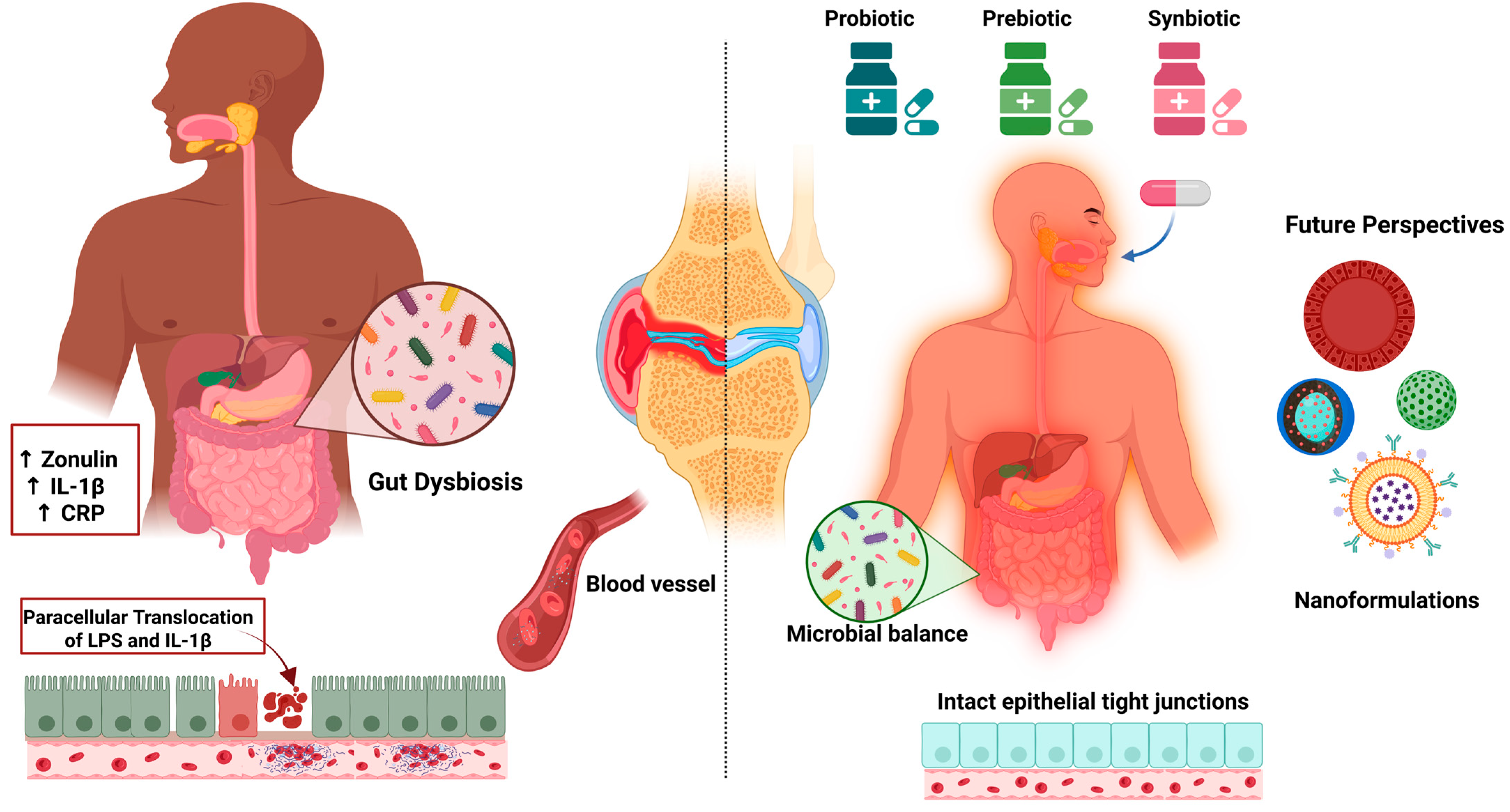 Ijms 26 08925 g003 Ijms 26 08925 g003
