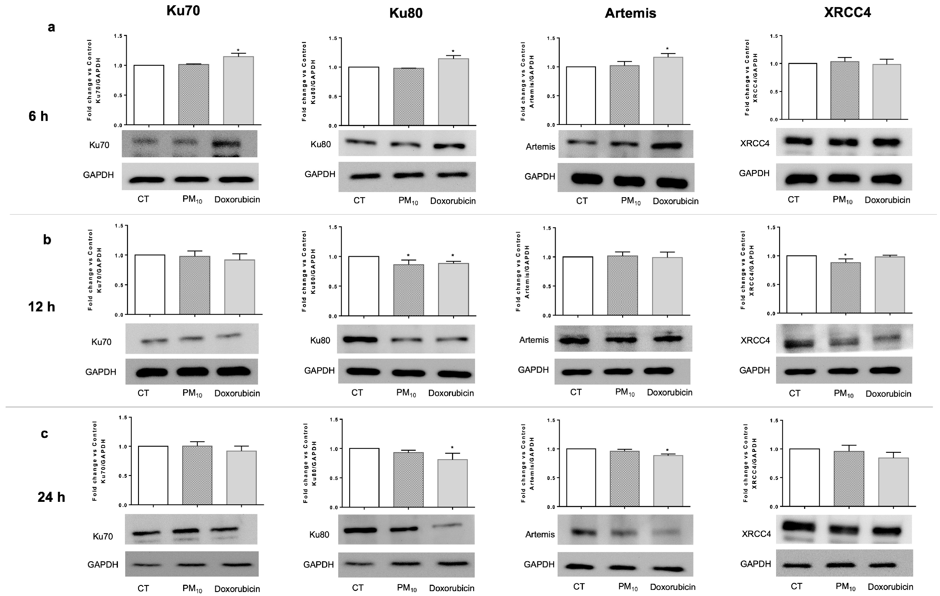 Ijms 26 08936 g004 Ijms 26 08936 g004