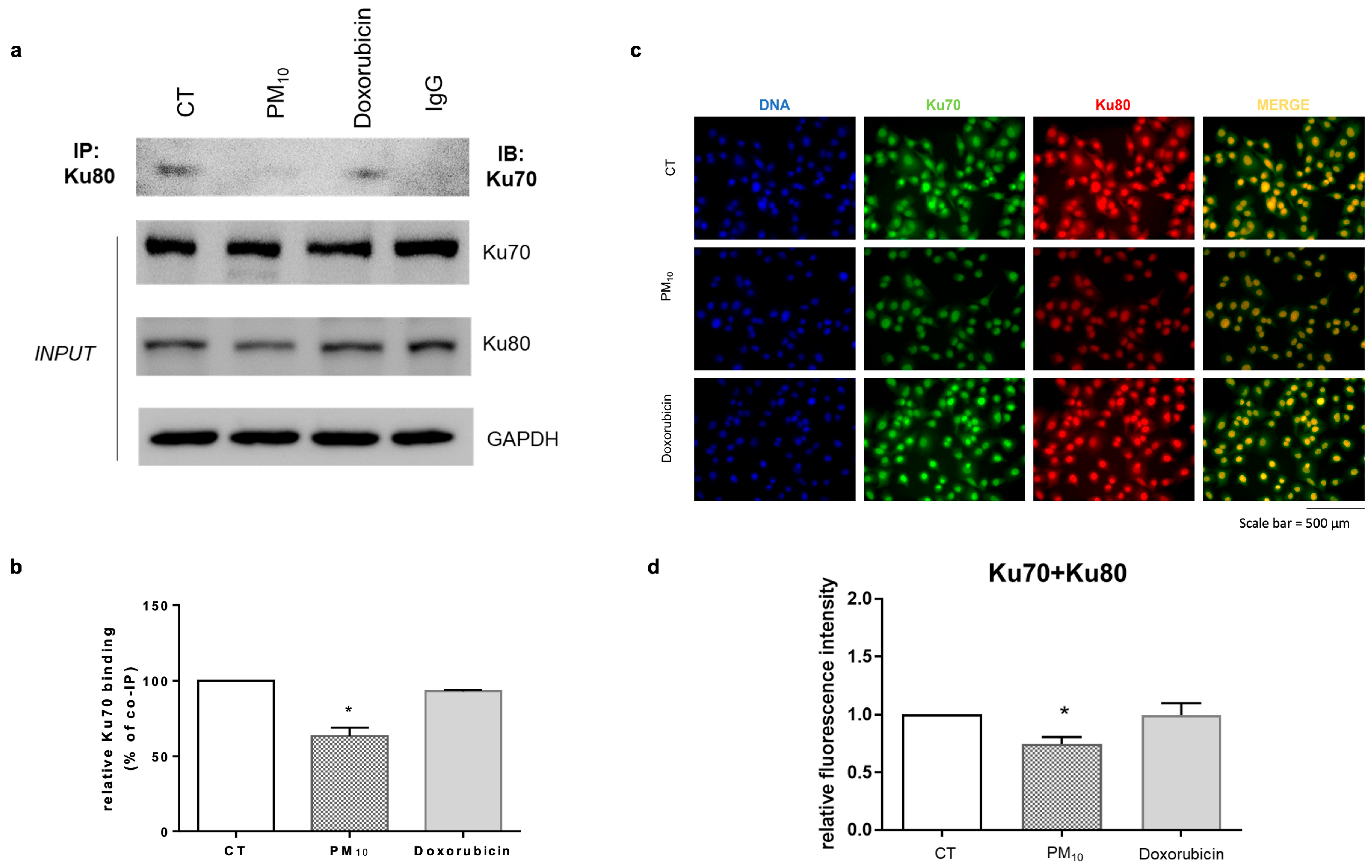 Ijms 26 08936 g005 Ijms 26 08936 g005