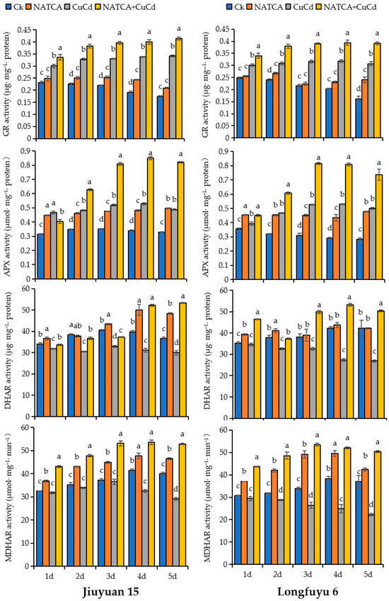120cm セット Advanced materials for micro/nanorobotics - Chemical Society