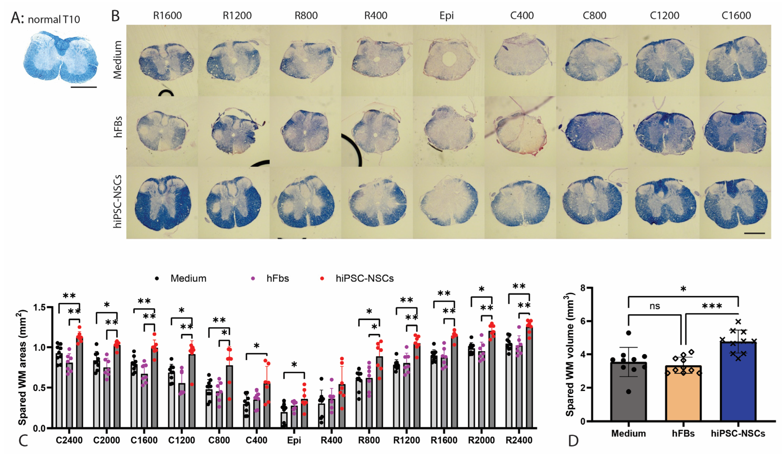 Ijms 26 08940 g005 Ijms 26 08940 g005
