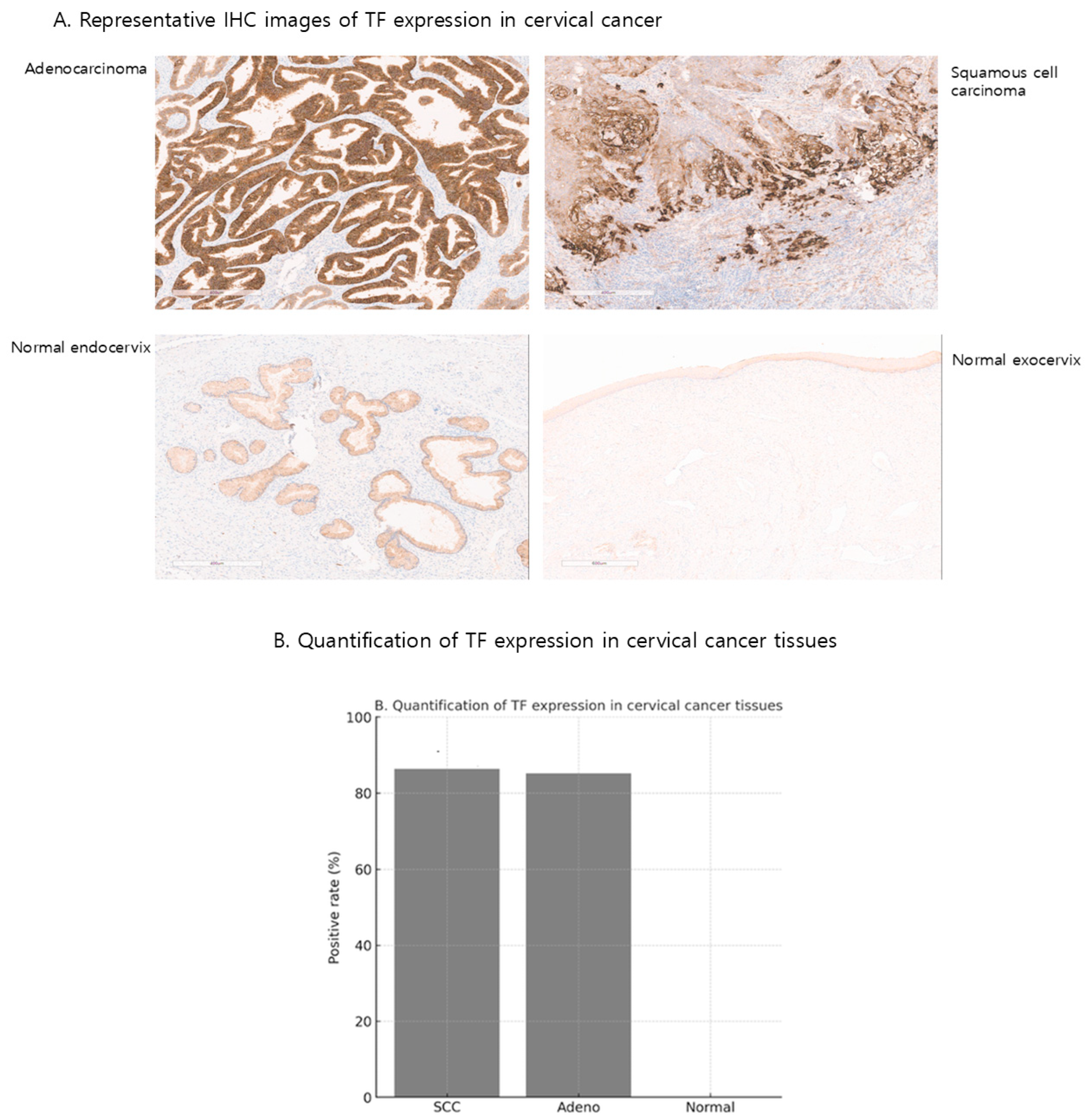 Ijms 26 08941 g001 Ijms 26 08941 g001