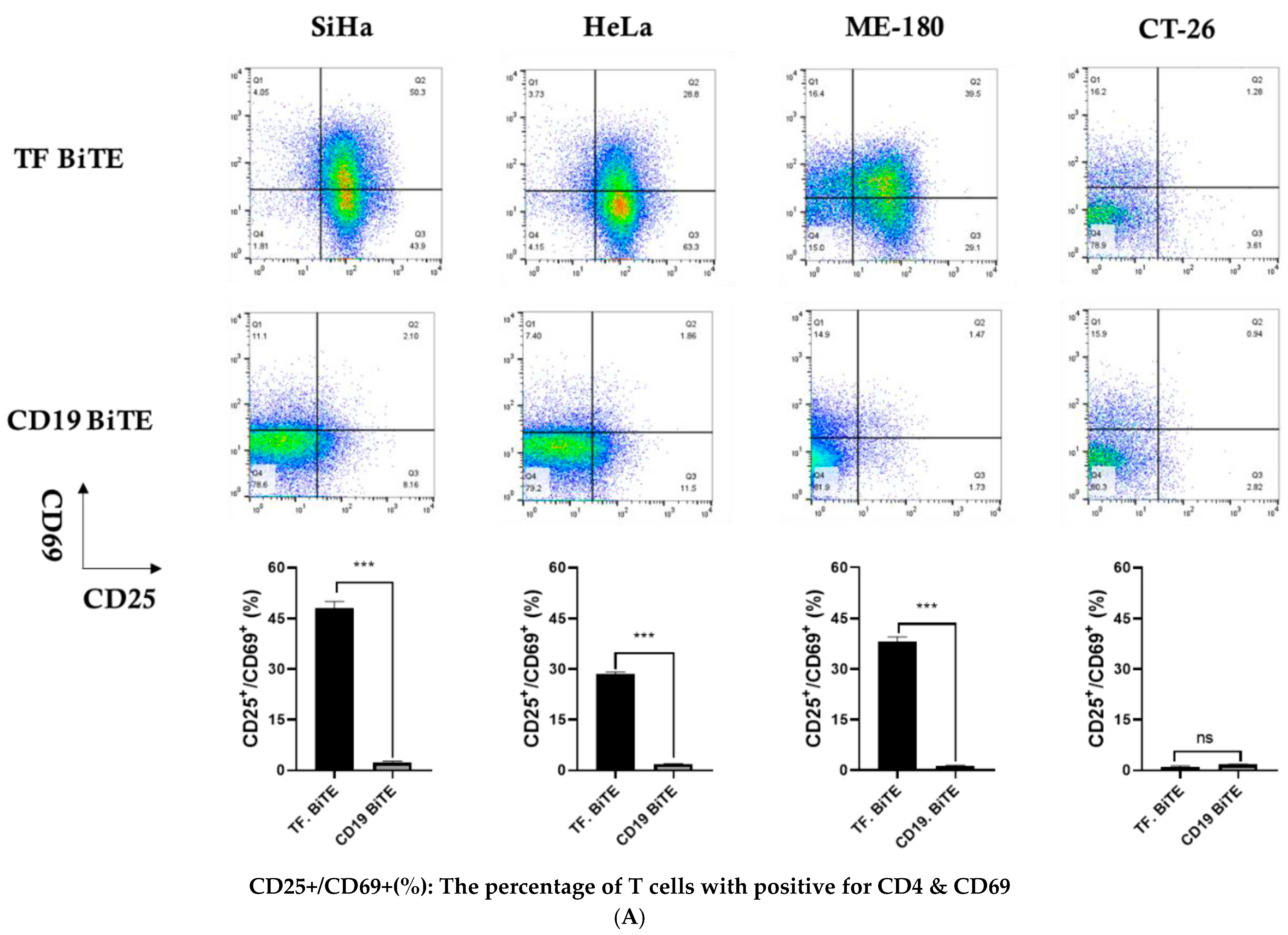 Ijms 26 08941 g005a Ijms 26 08941 g005a