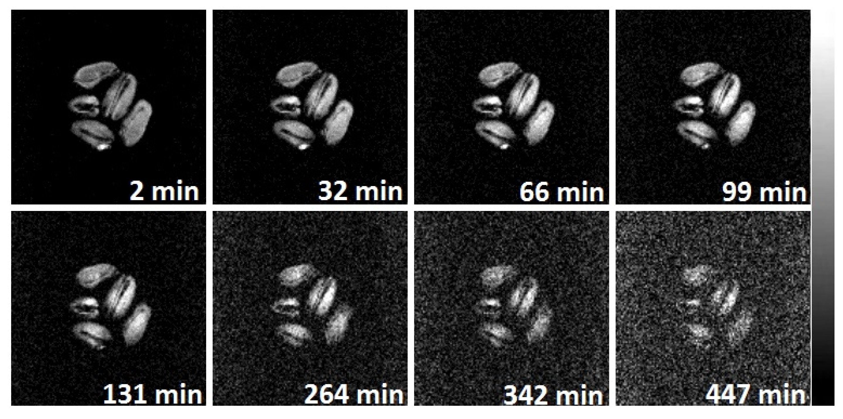 Ijms 26 08952 g007 Ijms 26 08952 g007