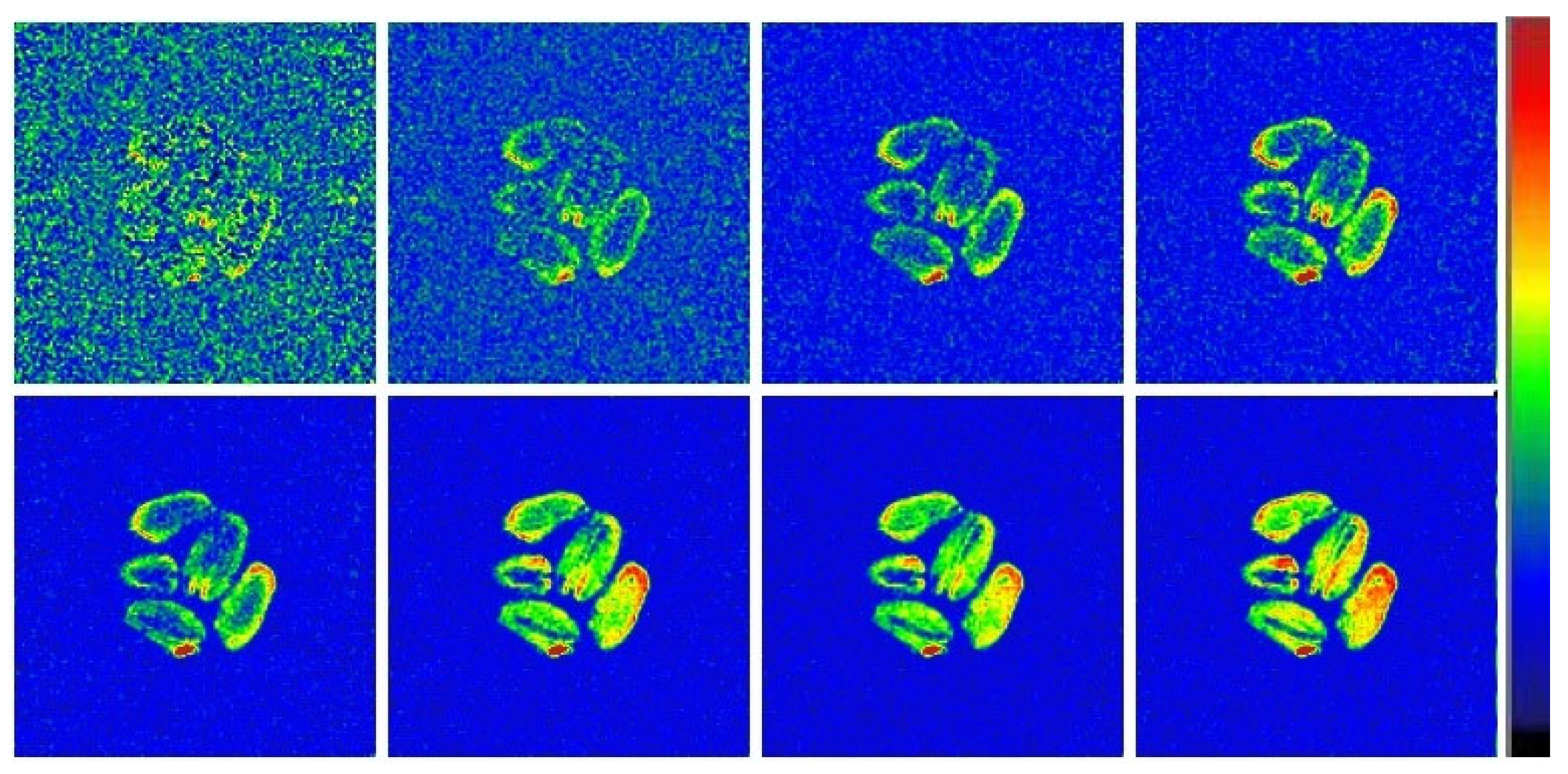 Ijms 26 08952 g008 Ijms 26 08952 g008