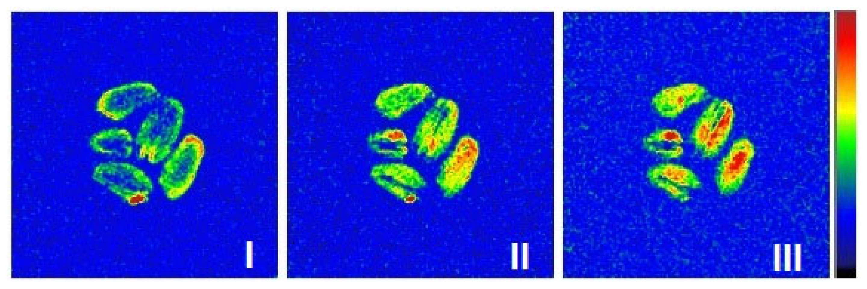 Ijms 26 08952 g009 Ijms 26 08952 g009