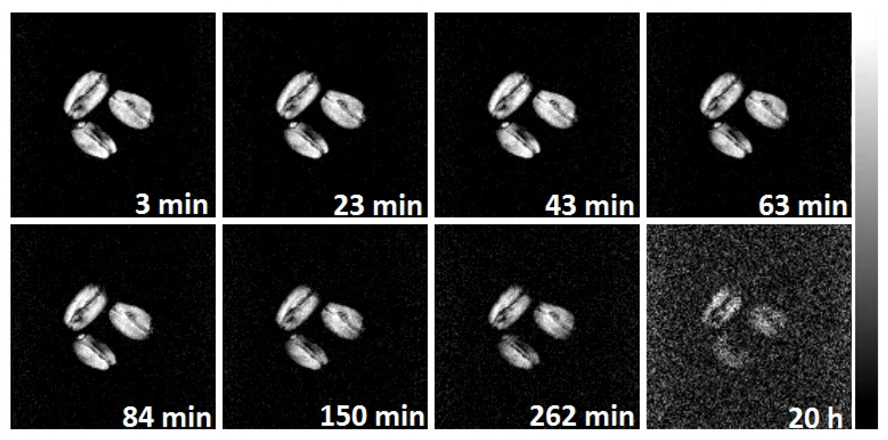 Ijms 26 08952 g010 Ijms 26 08952 g010