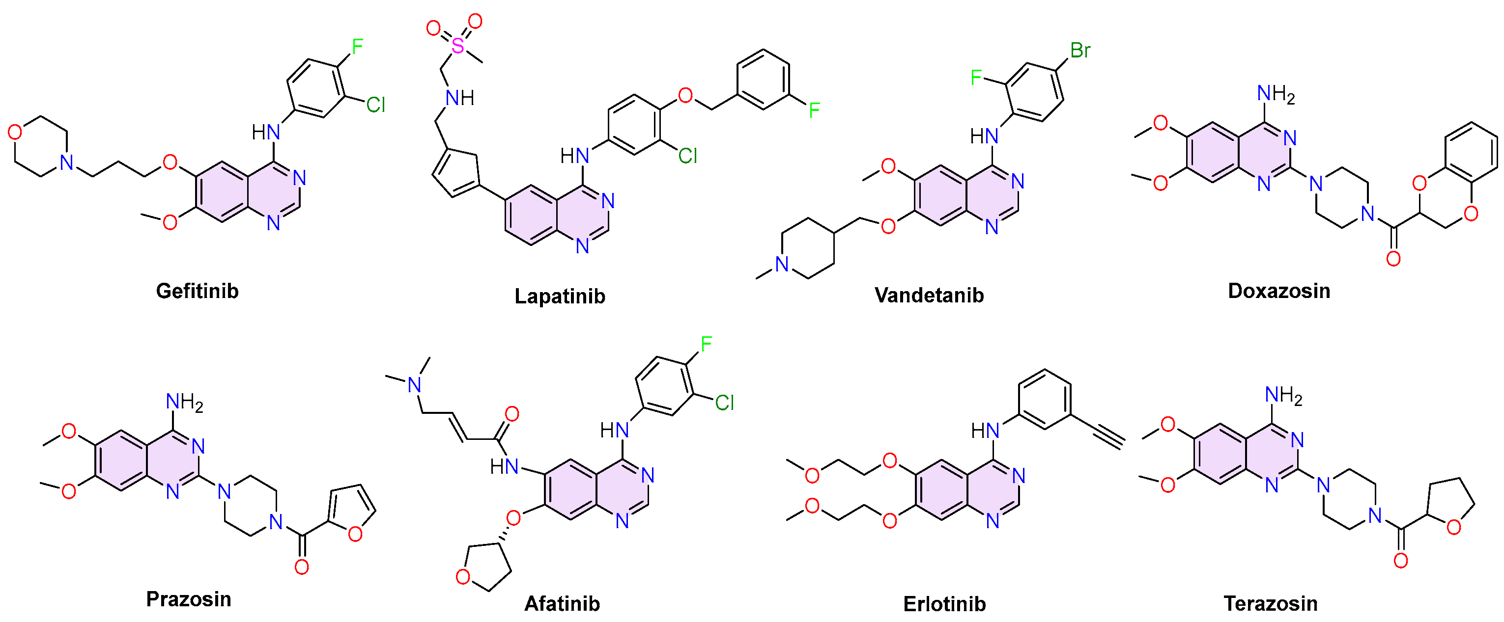 Ijms 26 08955 g001 Ijms 26 08955 g001