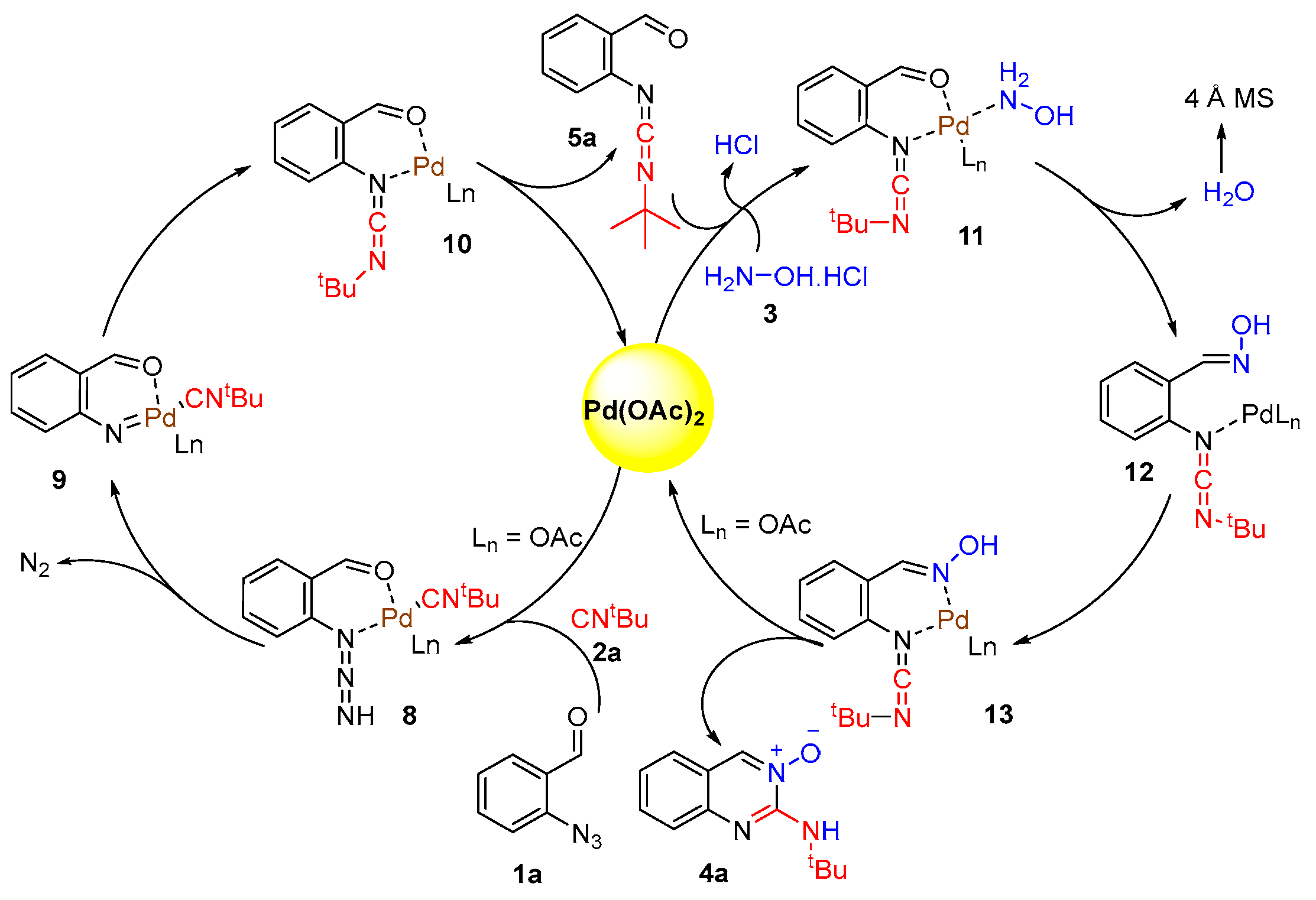 Ijms 26 08955 sch003 Ijms 26 08955 sch003