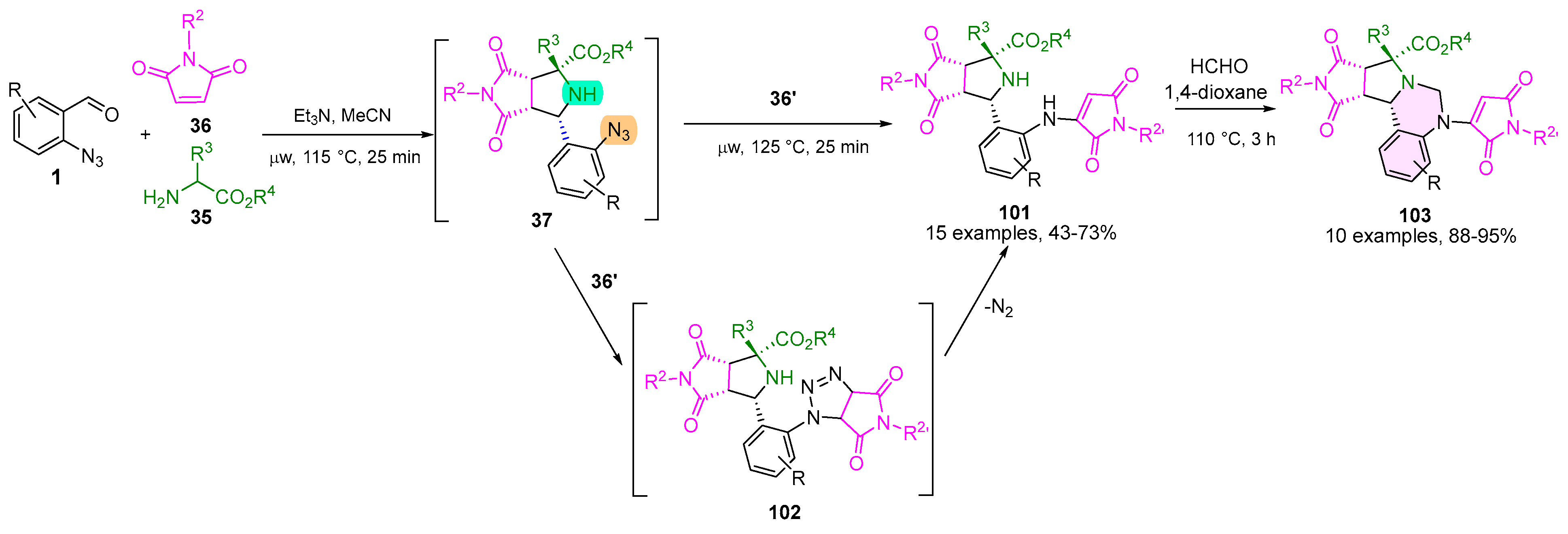 Ijms 26 08955 sch024 Ijms 26 08955 sch024