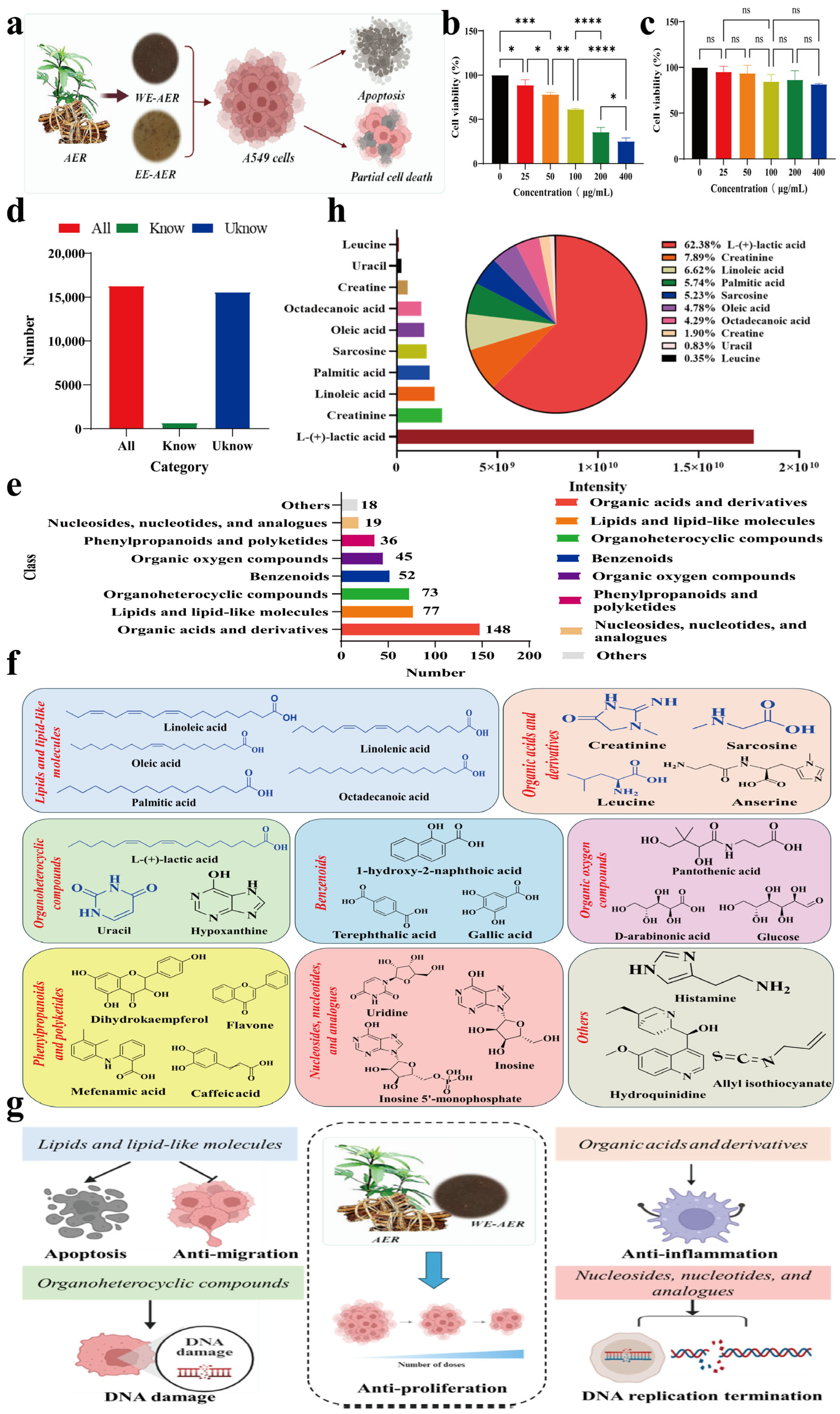 Actinidia eriantha Benth. Root as a New Phytomedicine Inhibits Non