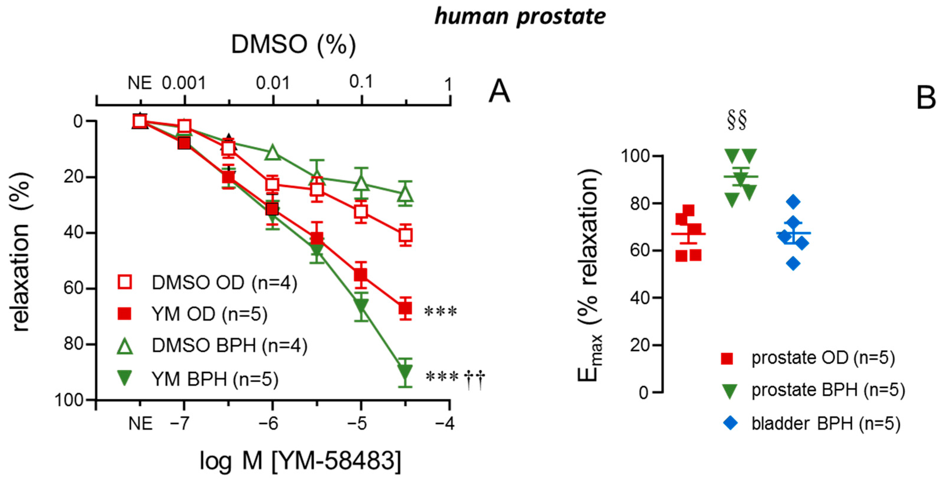 Ijms 26 08985 g001 Ijms 26 08985 g001