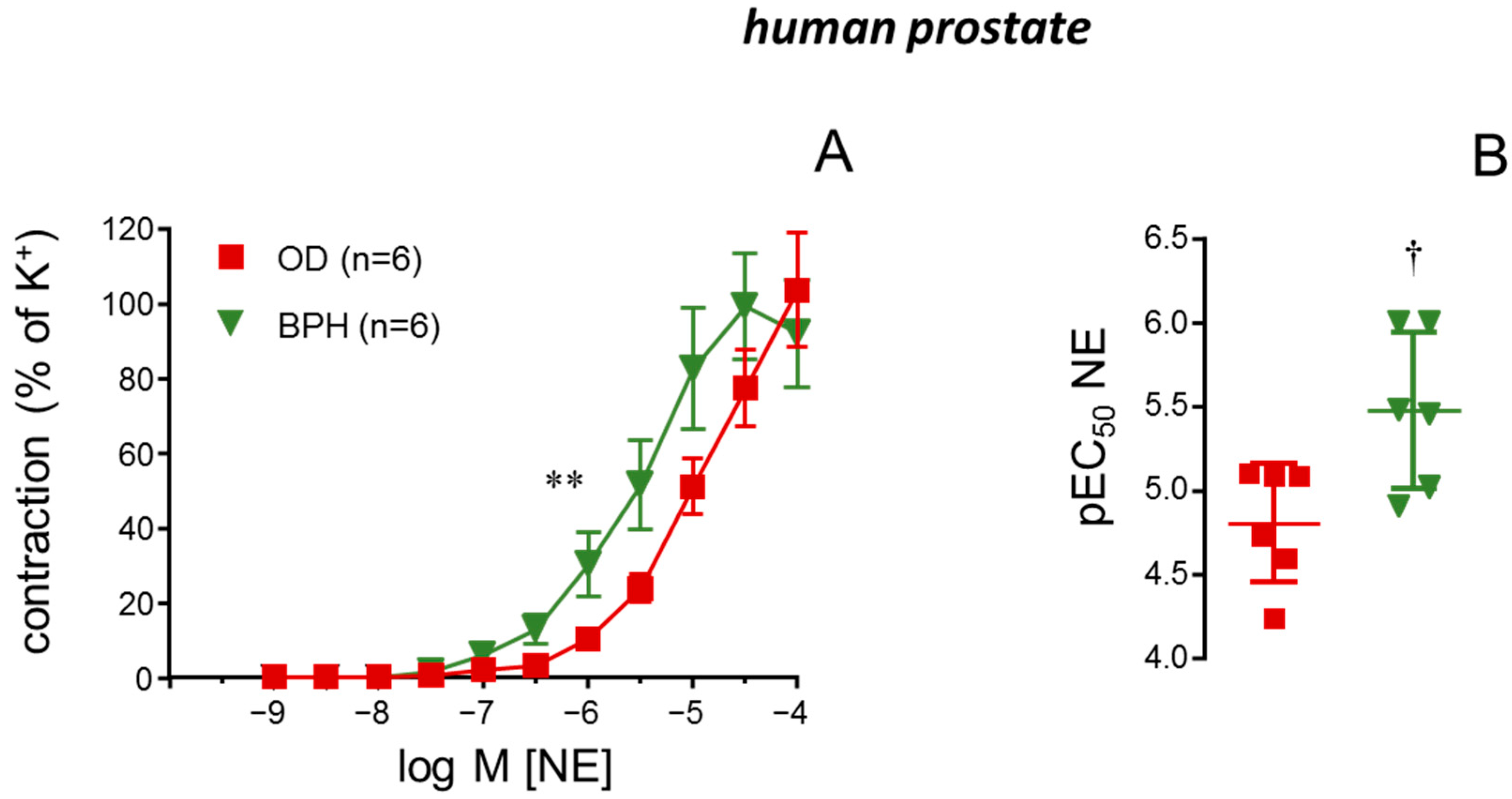 Ijms 26 08985 g002 Ijms 26 08985 g002