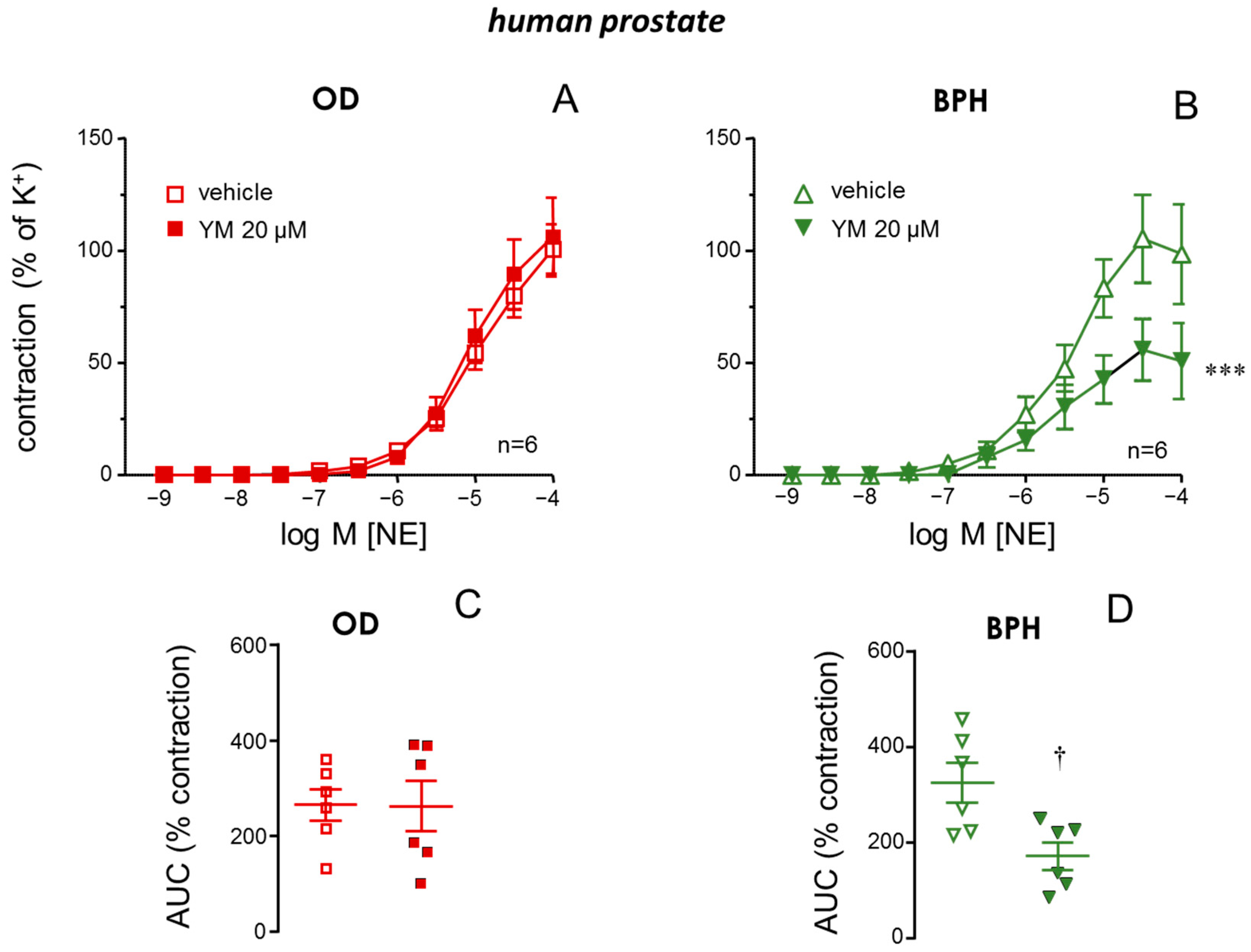 Ijms 26 08985 g003 Ijms 26 08985 g003