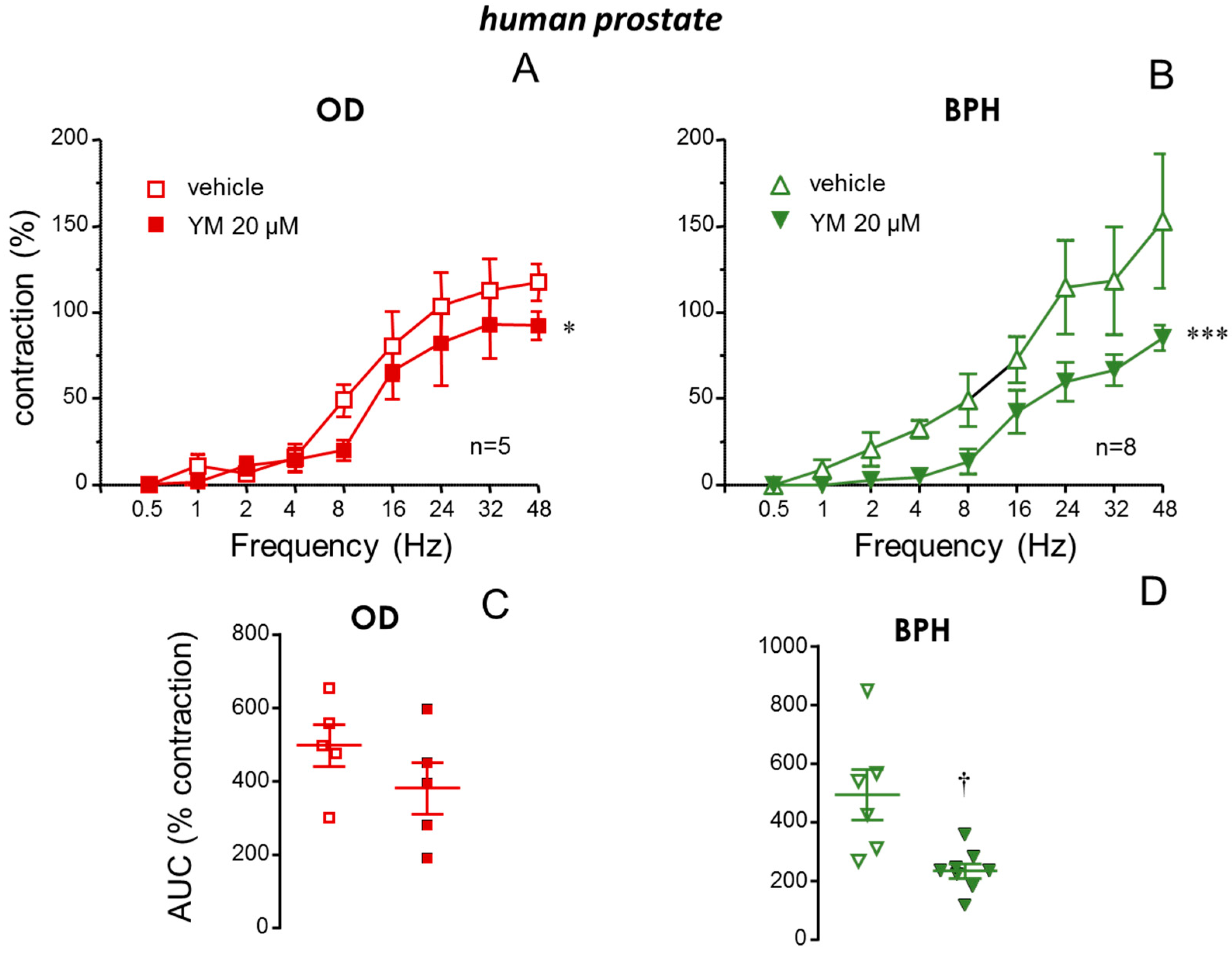 Ijms 26 08985 g004 Ijms 26 08985 g004