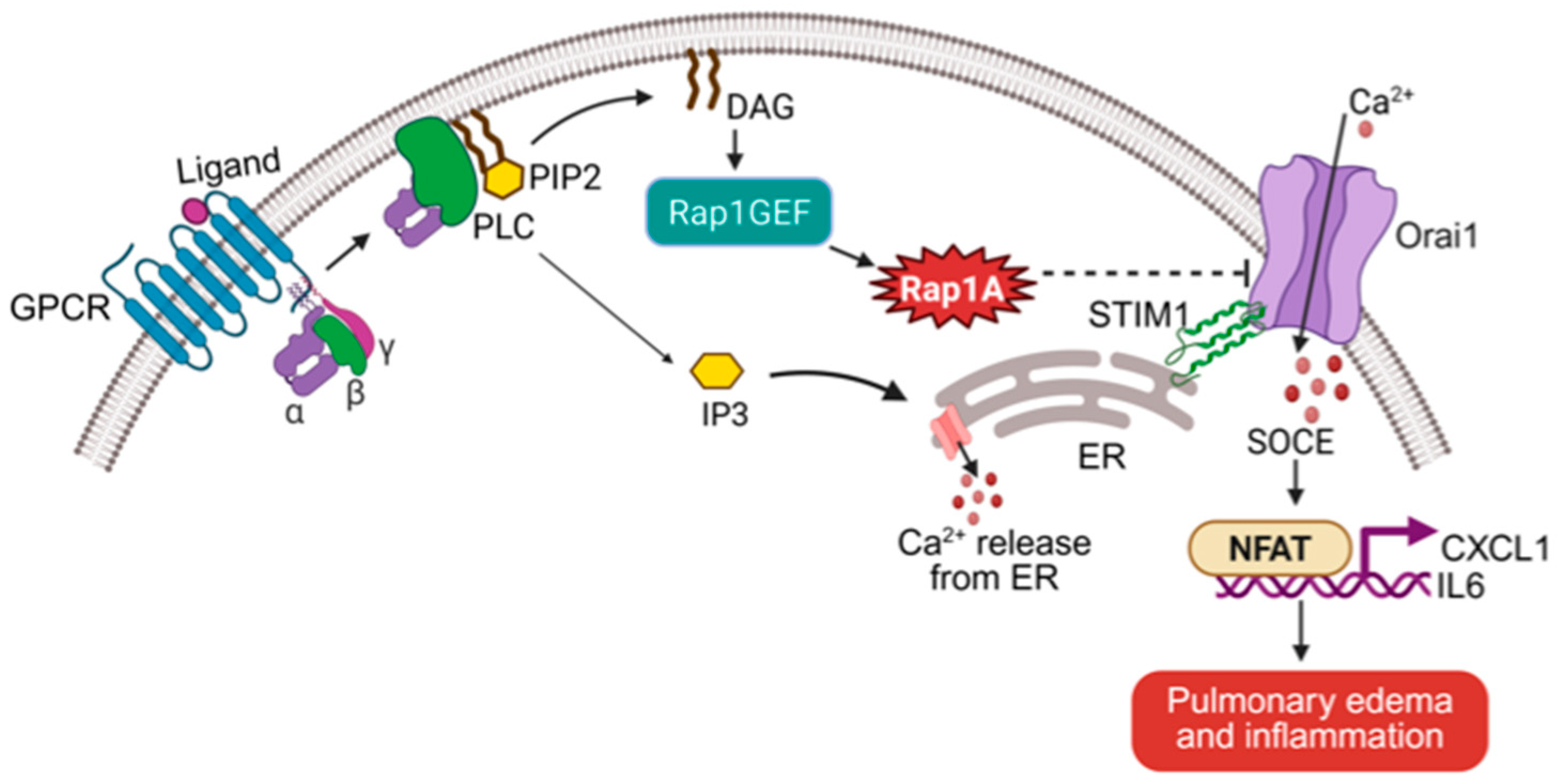 Ijms 26 08996 g002 Ijms 26 08996 g002