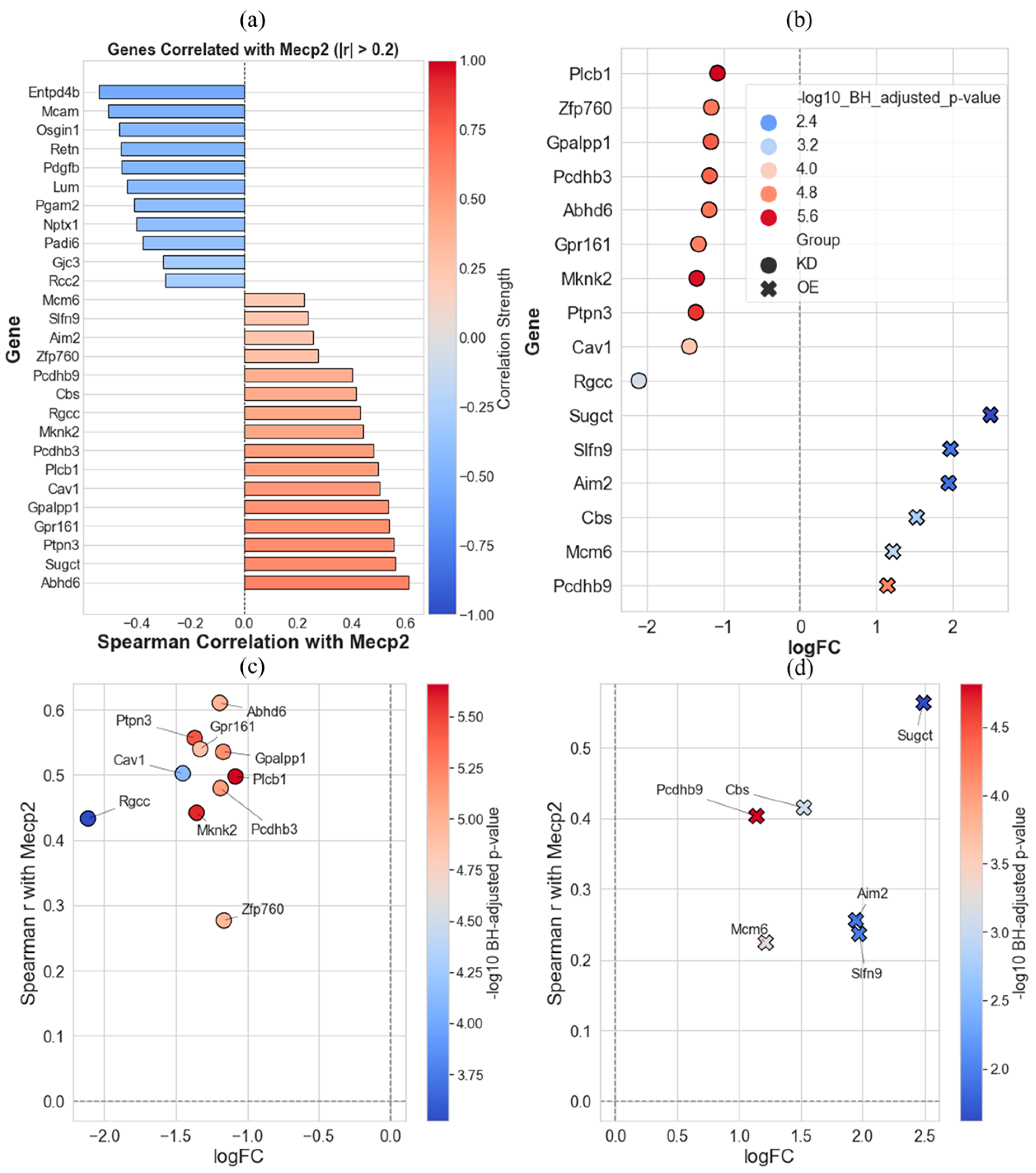 Ijms 26 09032 g004 Ijms 26 09032 g004