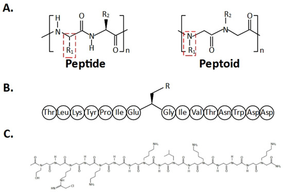 Therapeutic Targeting of Protein Lysine and Arginine