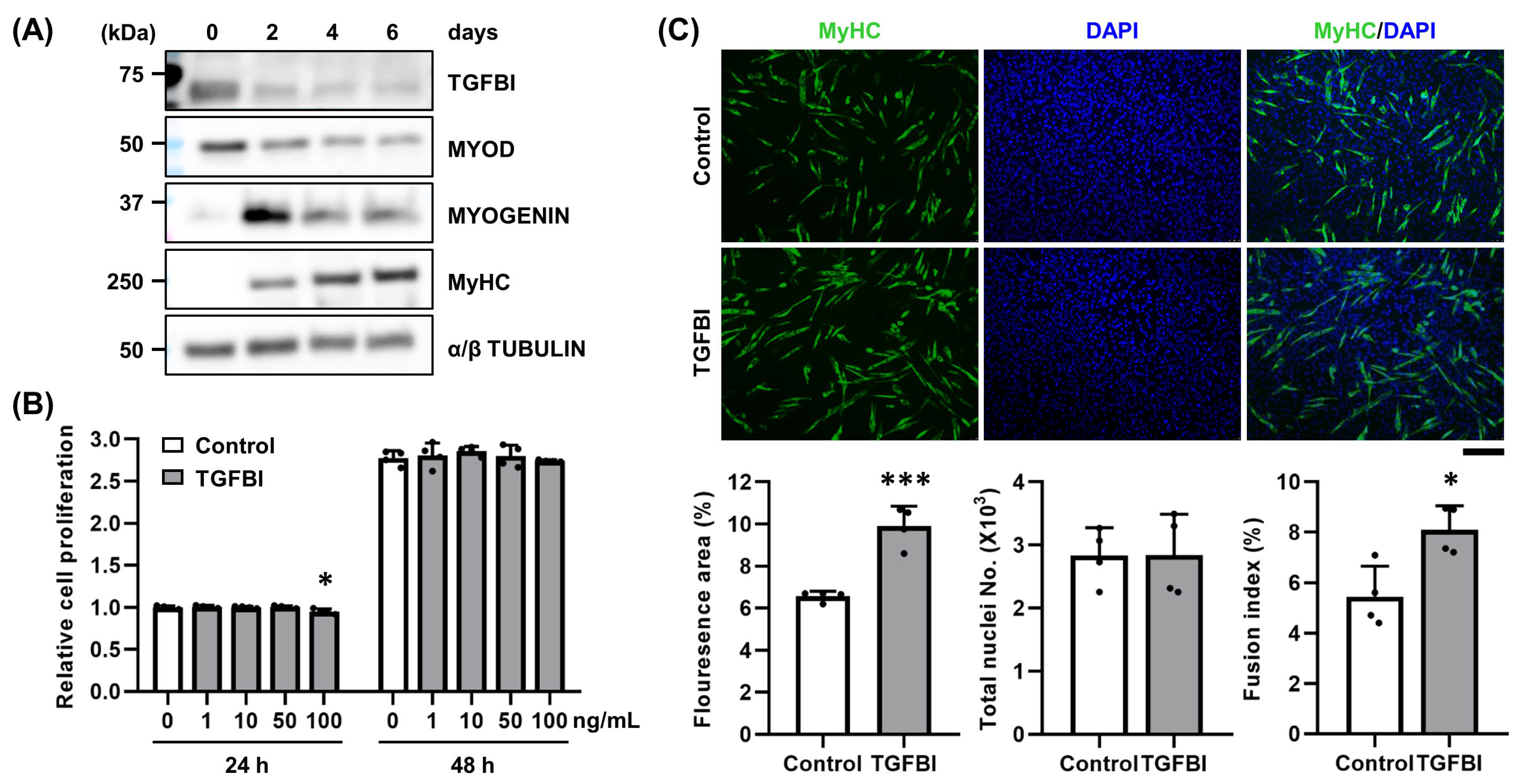 Ijms 26 09042 g001 Ijms 26 09042 g001