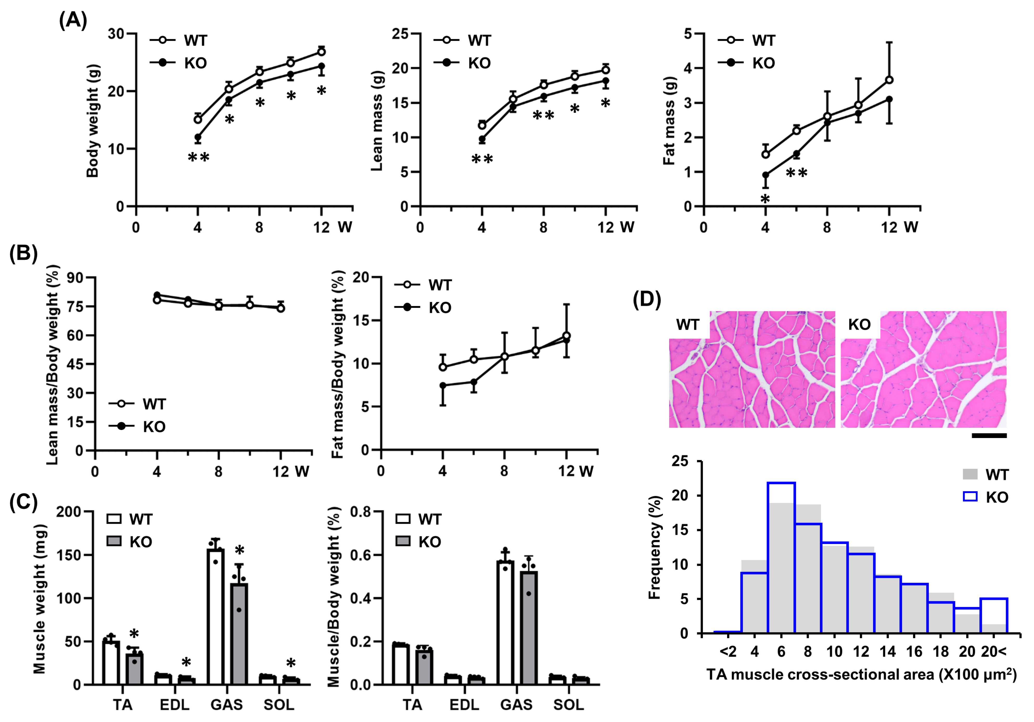 Ijms 26 09042 g003 Ijms 26 09042 g003