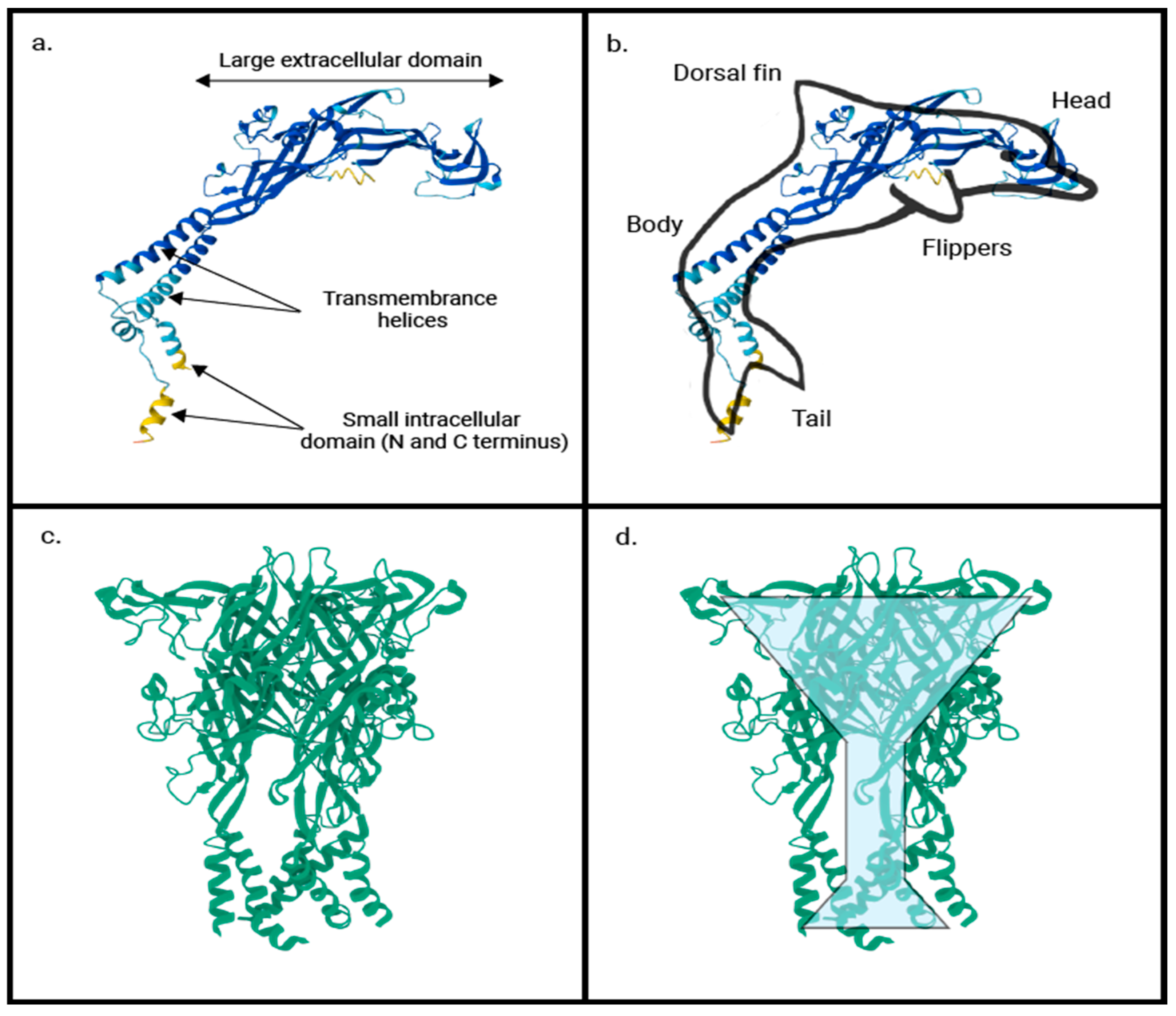 Ijms 26 09043 g001 Ijms 26 09043 g001