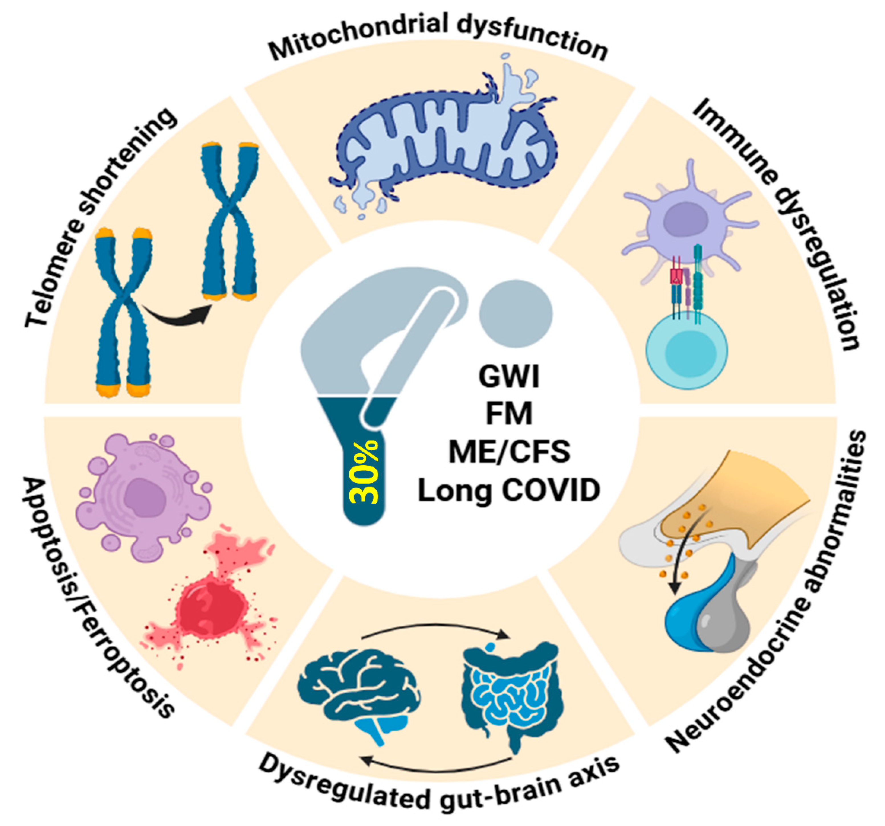 Ijms 26 09044 g002 Ijms 26 09044 g002