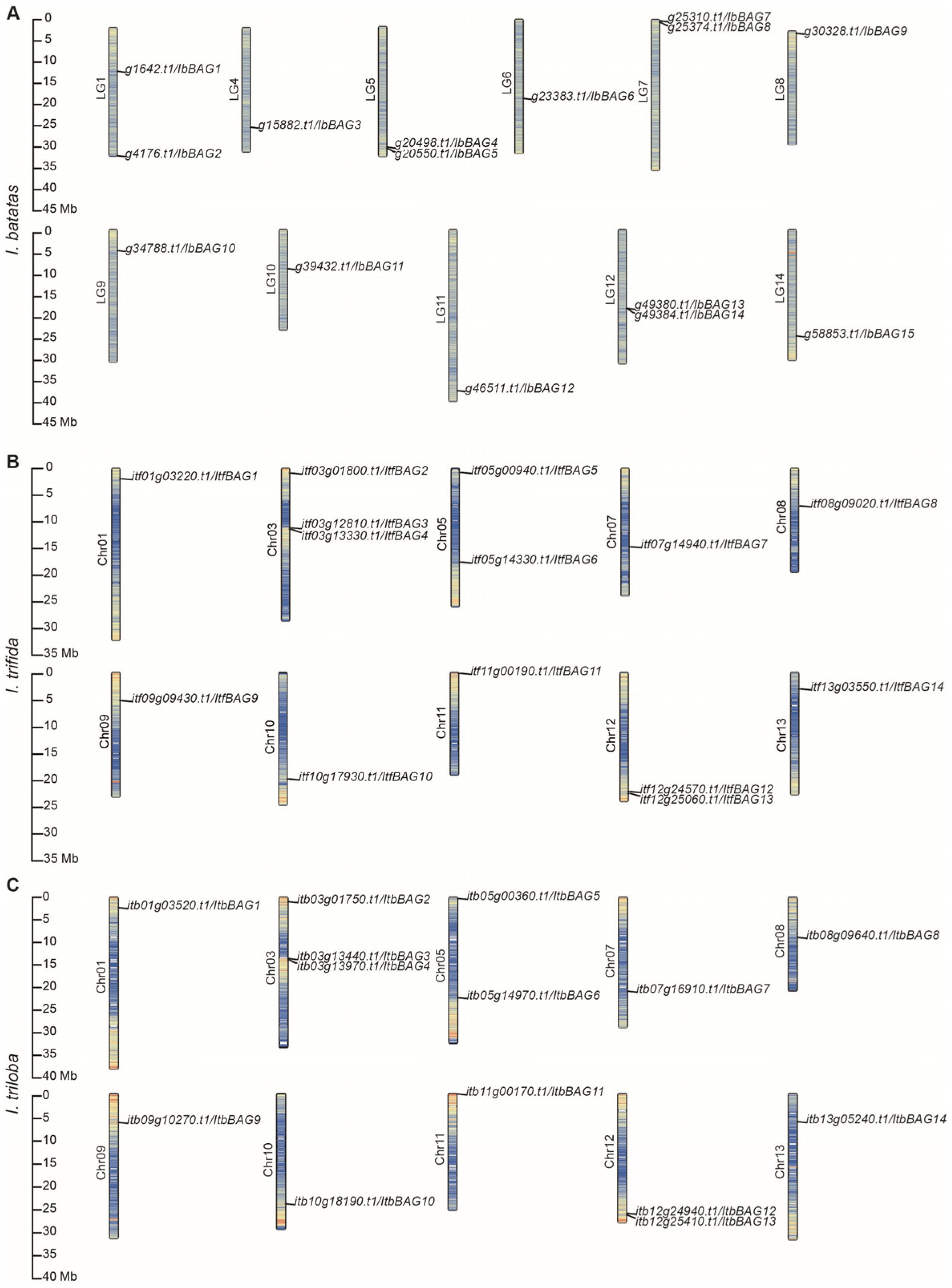 Ijms 26 09053 g001 Ijms 26 09053 g001