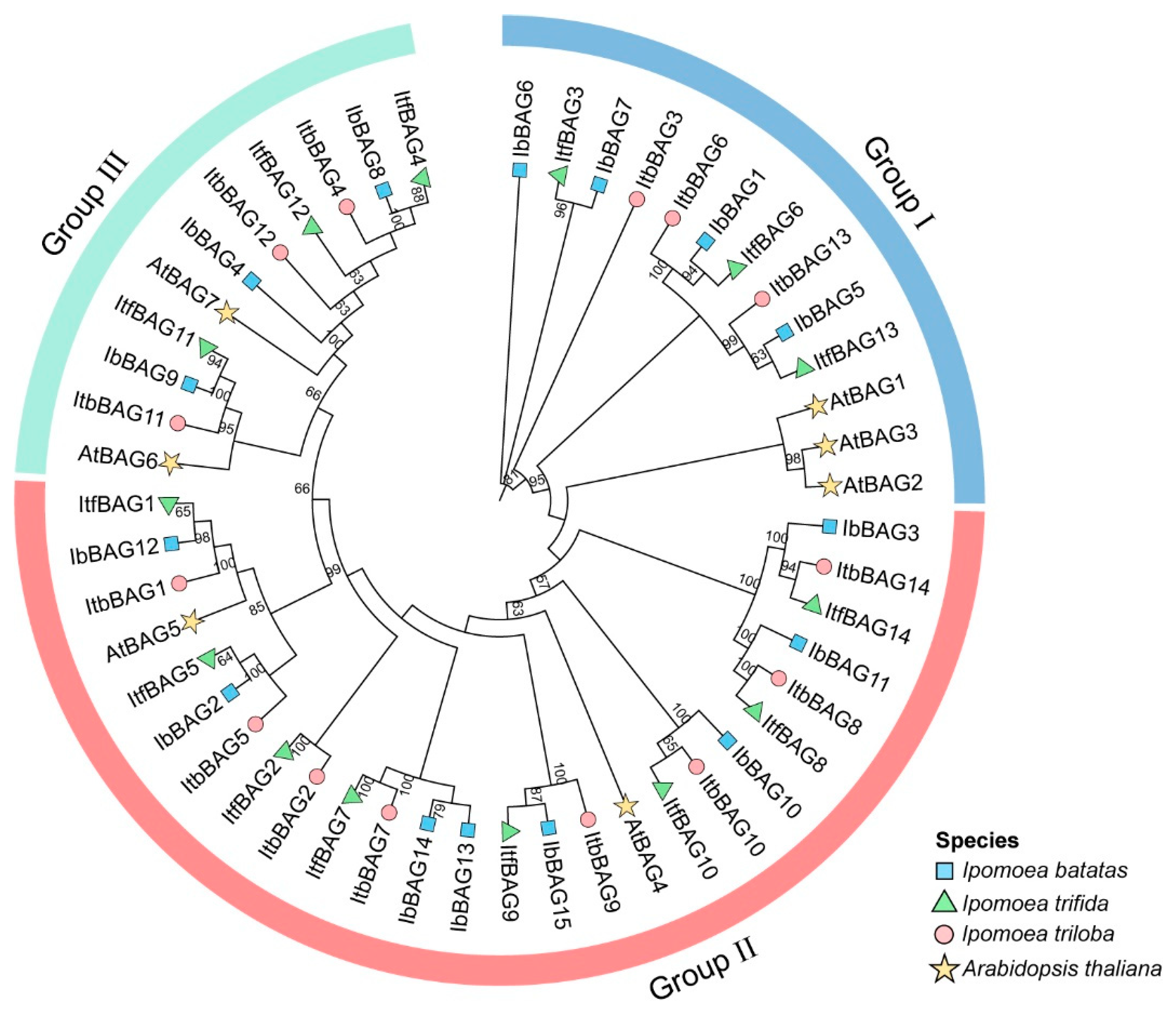 Ijms 26 09053 g003 Ijms 26 09053 g003