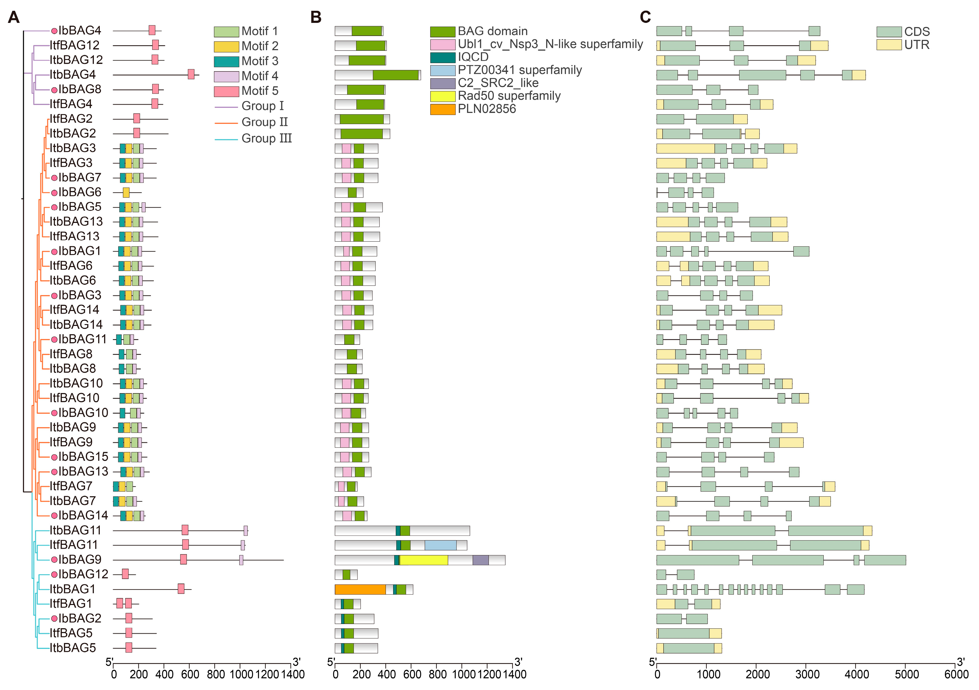 Ijms 26 09053 g004 Ijms 26 09053 g004