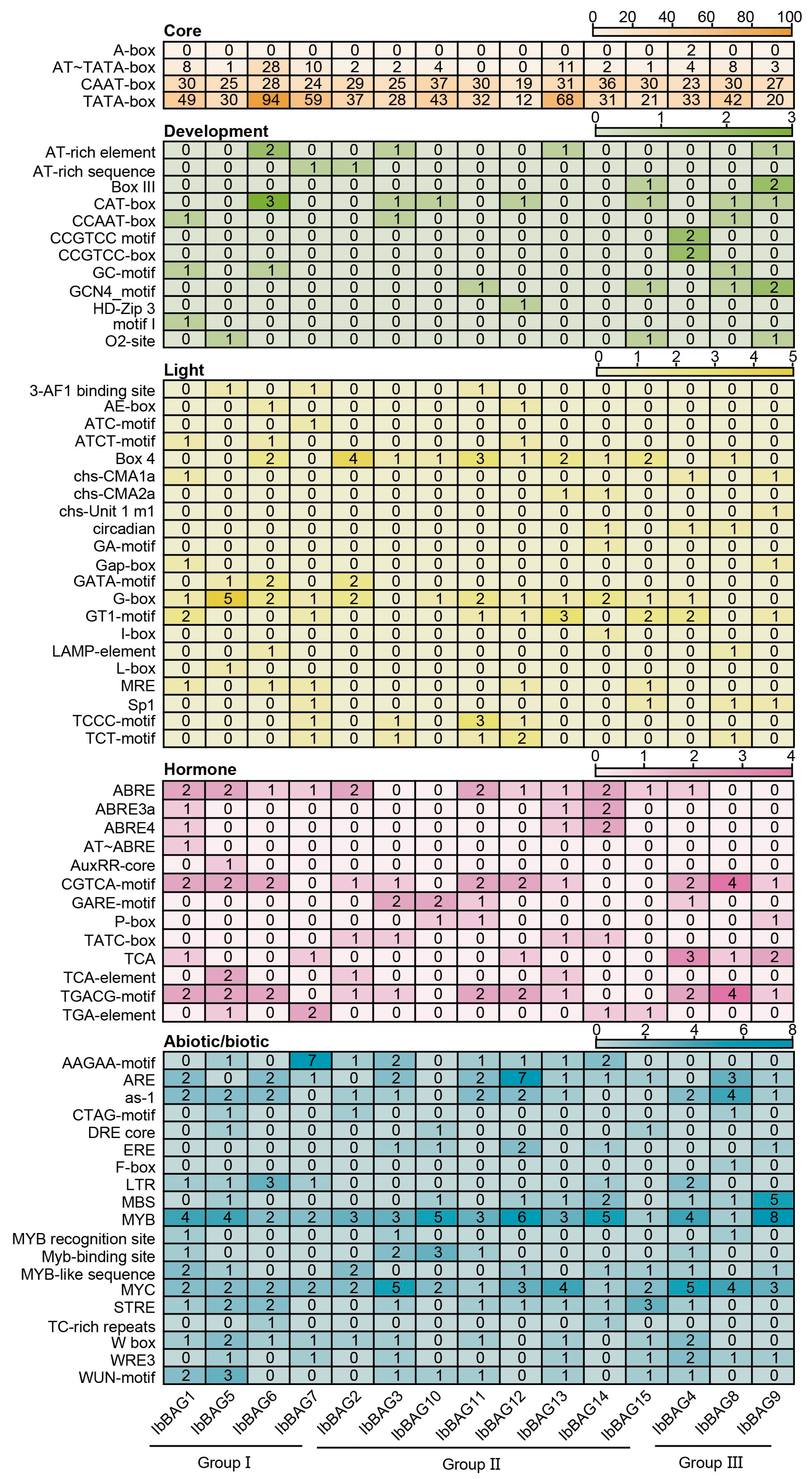 Ijms 26 09053 g005 Ijms 26 09053 g005