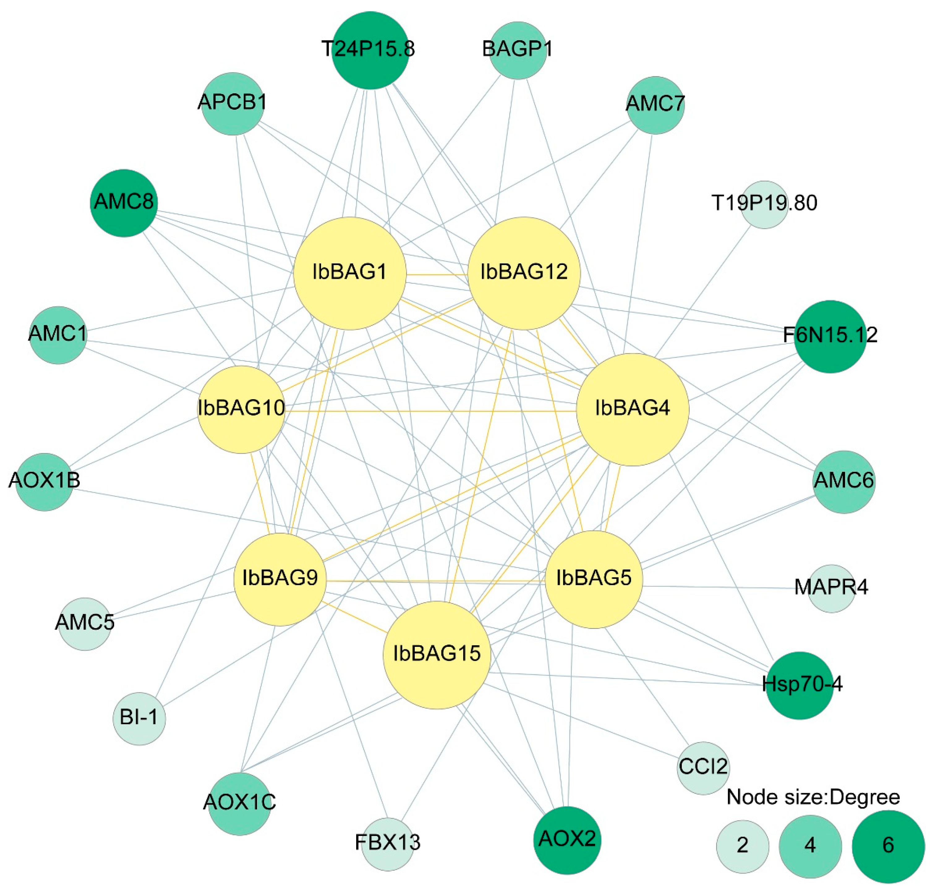 Ijms 26 09053 g006 Ijms 26 09053 g006