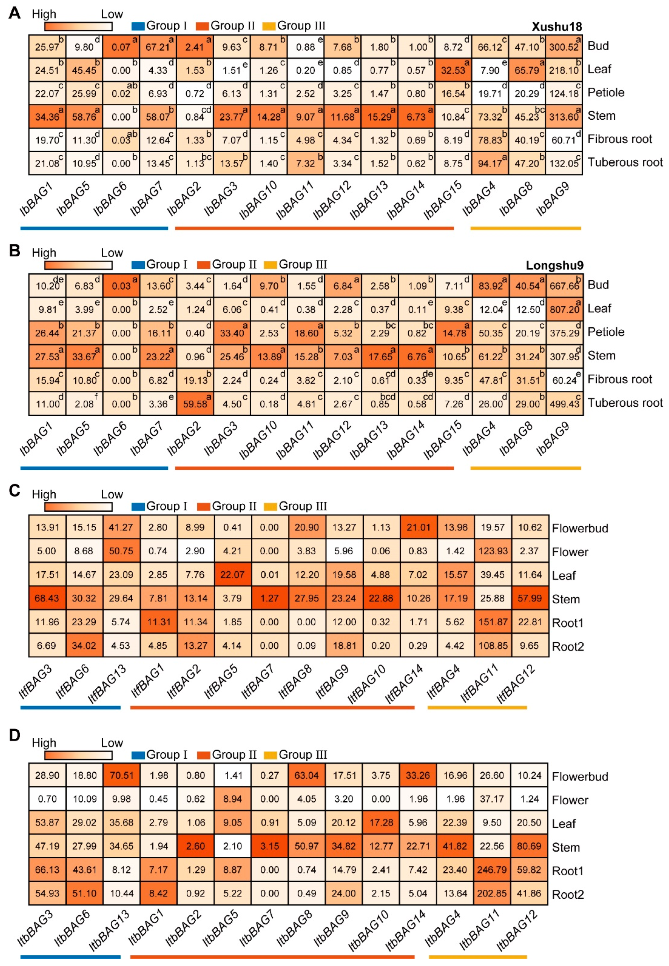 Ijms 26 09053 g007 Ijms 26 09053 g007